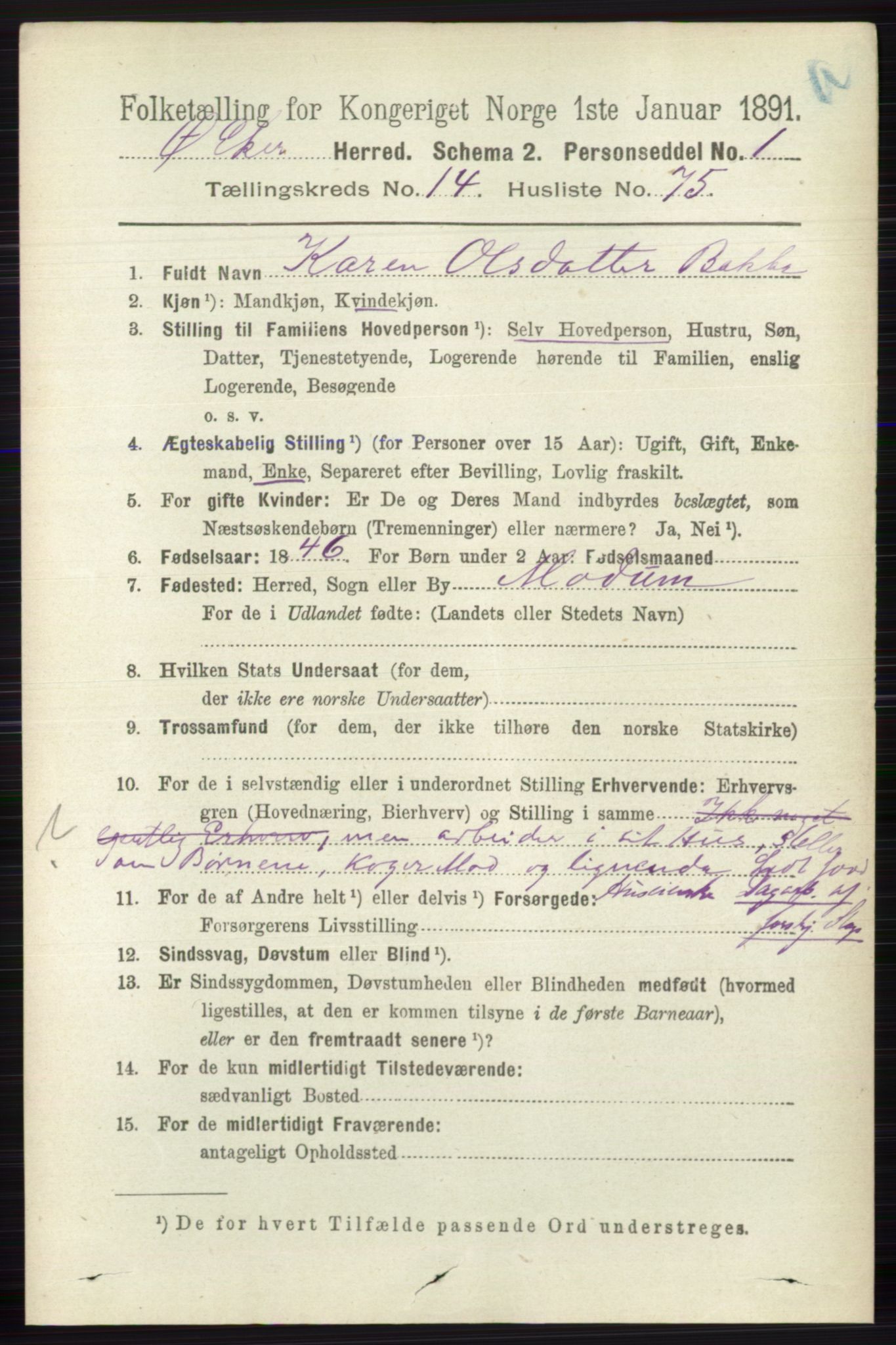 RA, 1891 census for 0624 Øvre Eiker, 1891, p. 6918