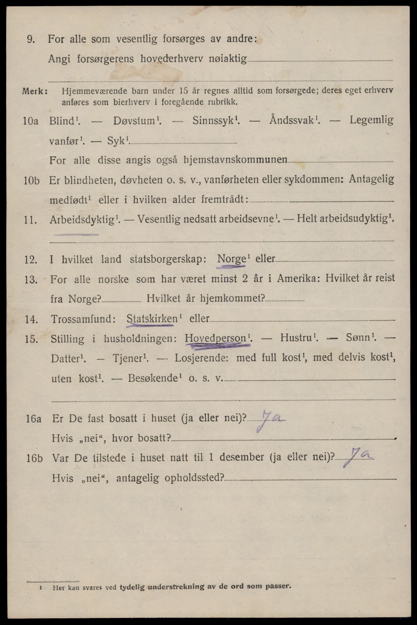 SAKO, 1920 census for Tinn, 1920, p. 10029