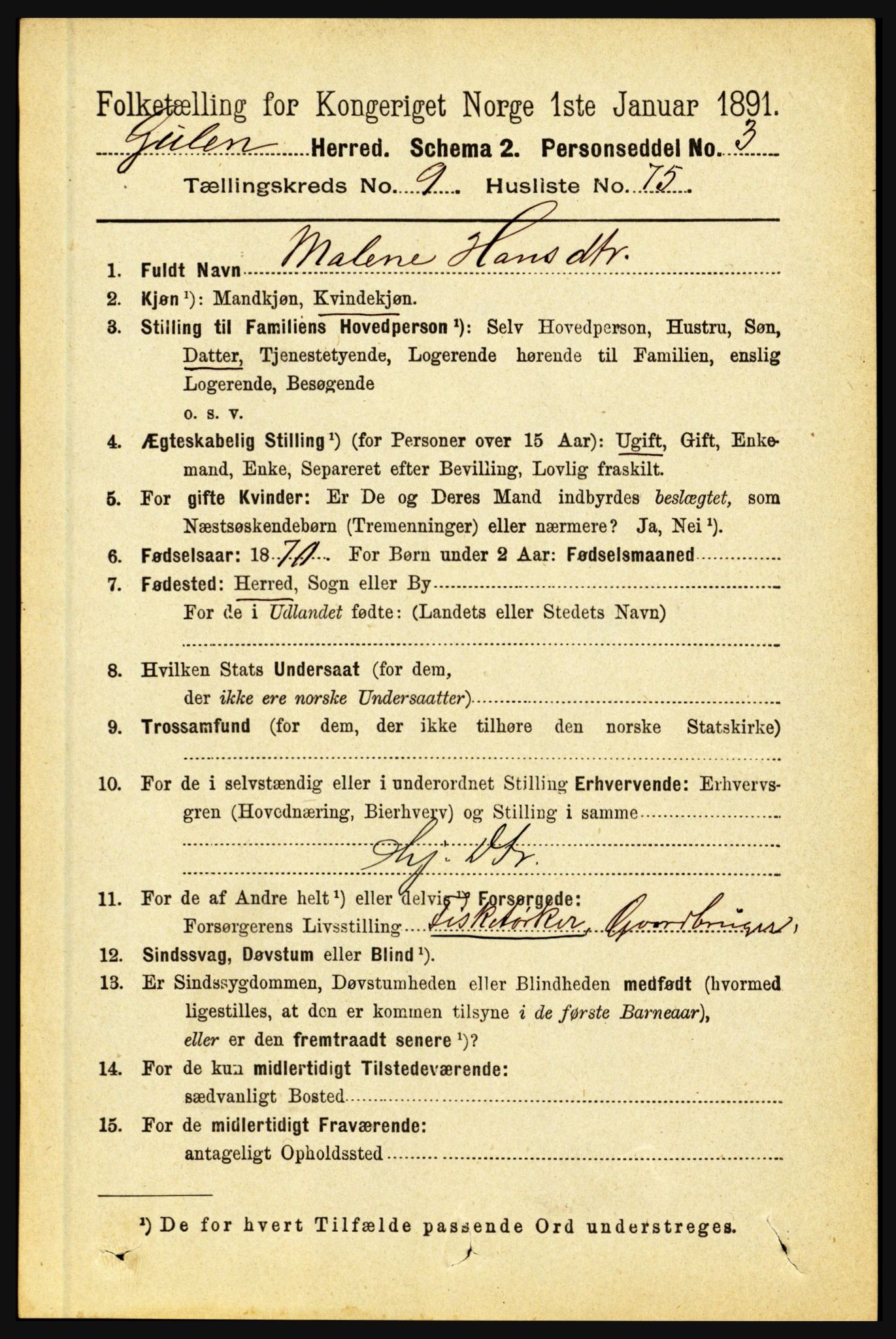 RA, 1891 census for 1411 Gulen, 1891, p. 3249