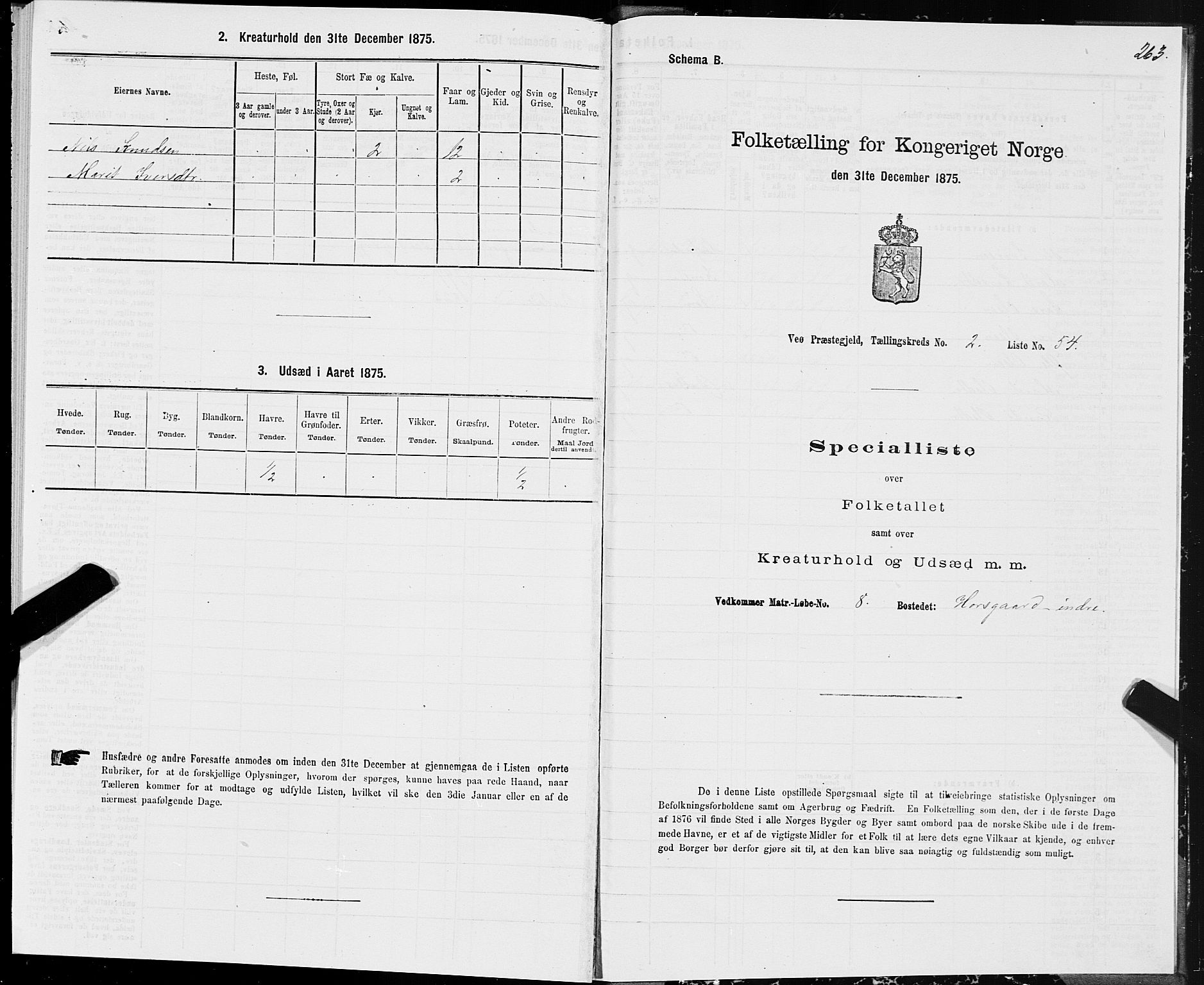 SAT, 1875 census for 1541P Veøy, 1875, p. 1263