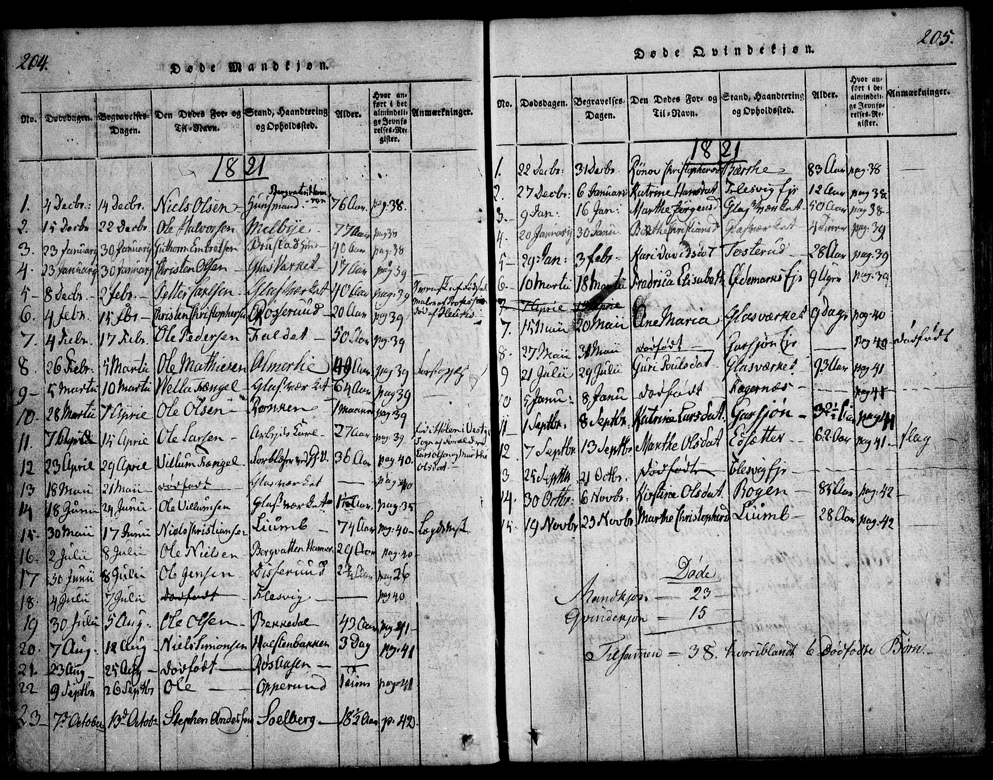 Hurdal prestekontor Kirkebøker, SAO/A-10889/F/Fa/L0003: Parish register (official) no. I 3, 1815-1828, p. 204-205