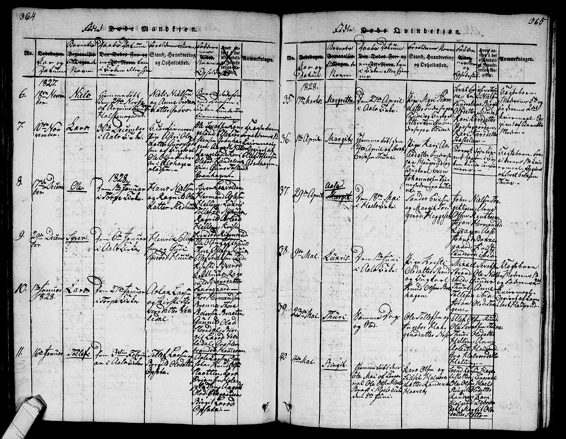 Ål kirkebøker, AV/SAKO-A-249/G/Ga/L0001: Parish register (copy) no. 1, 1815-1829, p. 364-365