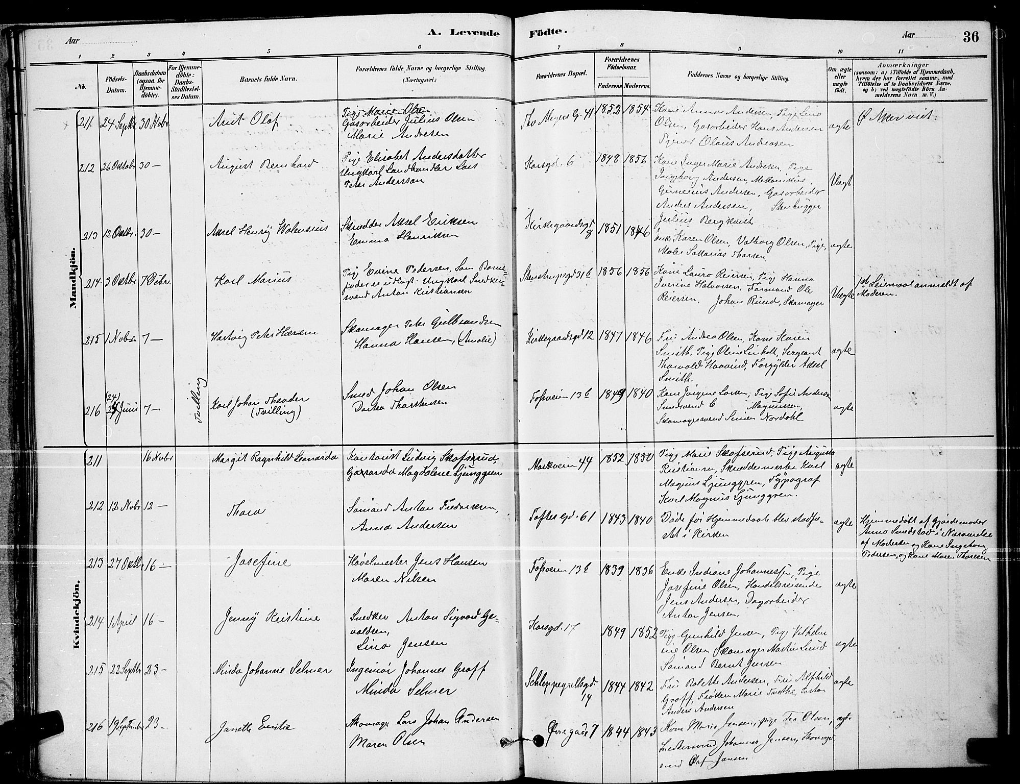 Paulus prestekontor Kirkebøker, AV/SAO-A-10871/G/Ga/L0002: Parish register (copy) no. 2, 1879-1887, p. 36