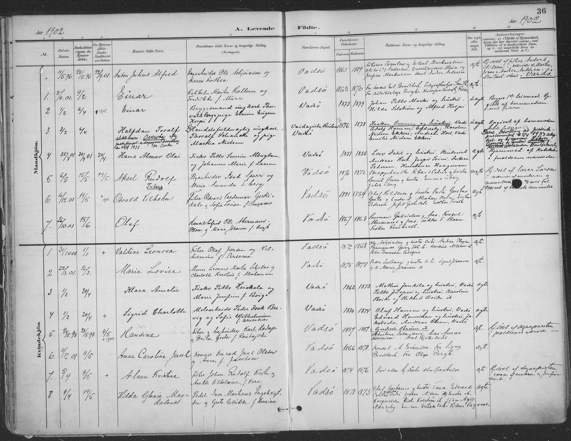 Vadsø sokneprestkontor, SATØ/S-1325/H/Ha/L0007kirke: Parish register (official) no. 7, 1896-1916, p. 36