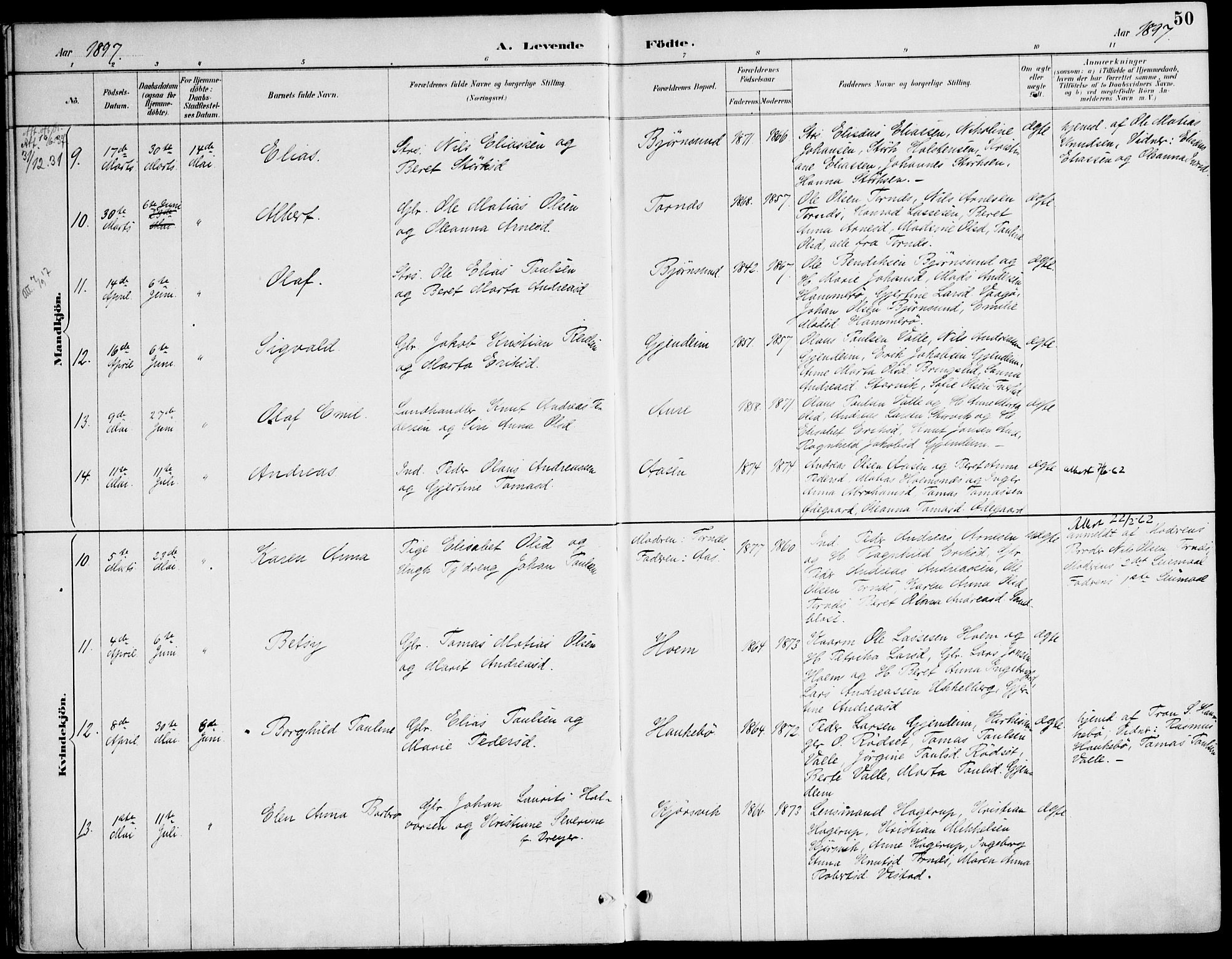 Ministerialprotokoller, klokkerbøker og fødselsregistre - Møre og Romsdal, AV/SAT-A-1454/565/L0750: Parish register (official) no. 565A04, 1887-1905, p. 50