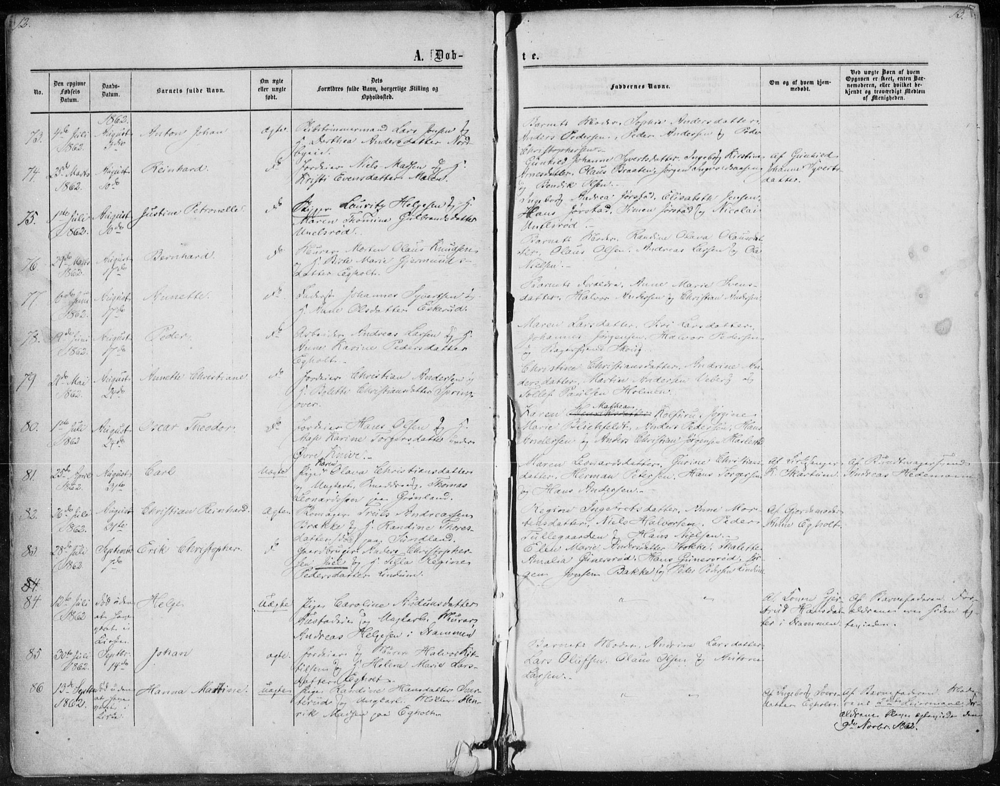Skoger kirkebøker, SAKO/A-59/F/Fa/L0004: Parish register (official) no. I 4, 1862-1872, p. 12-13