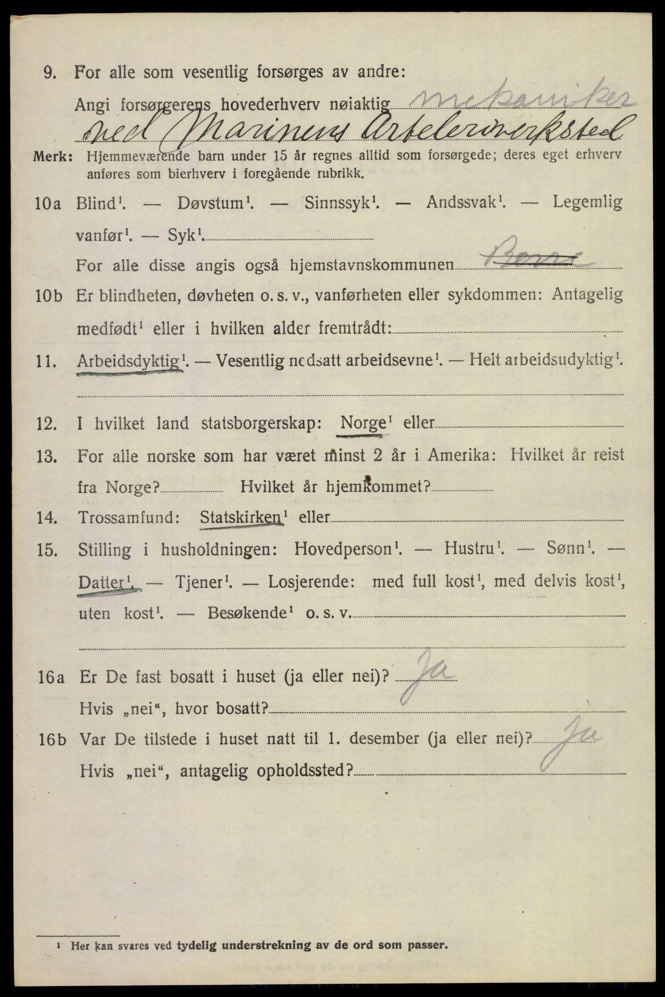 SAKO, 1920 census for Borre, 1920, p. 1557
