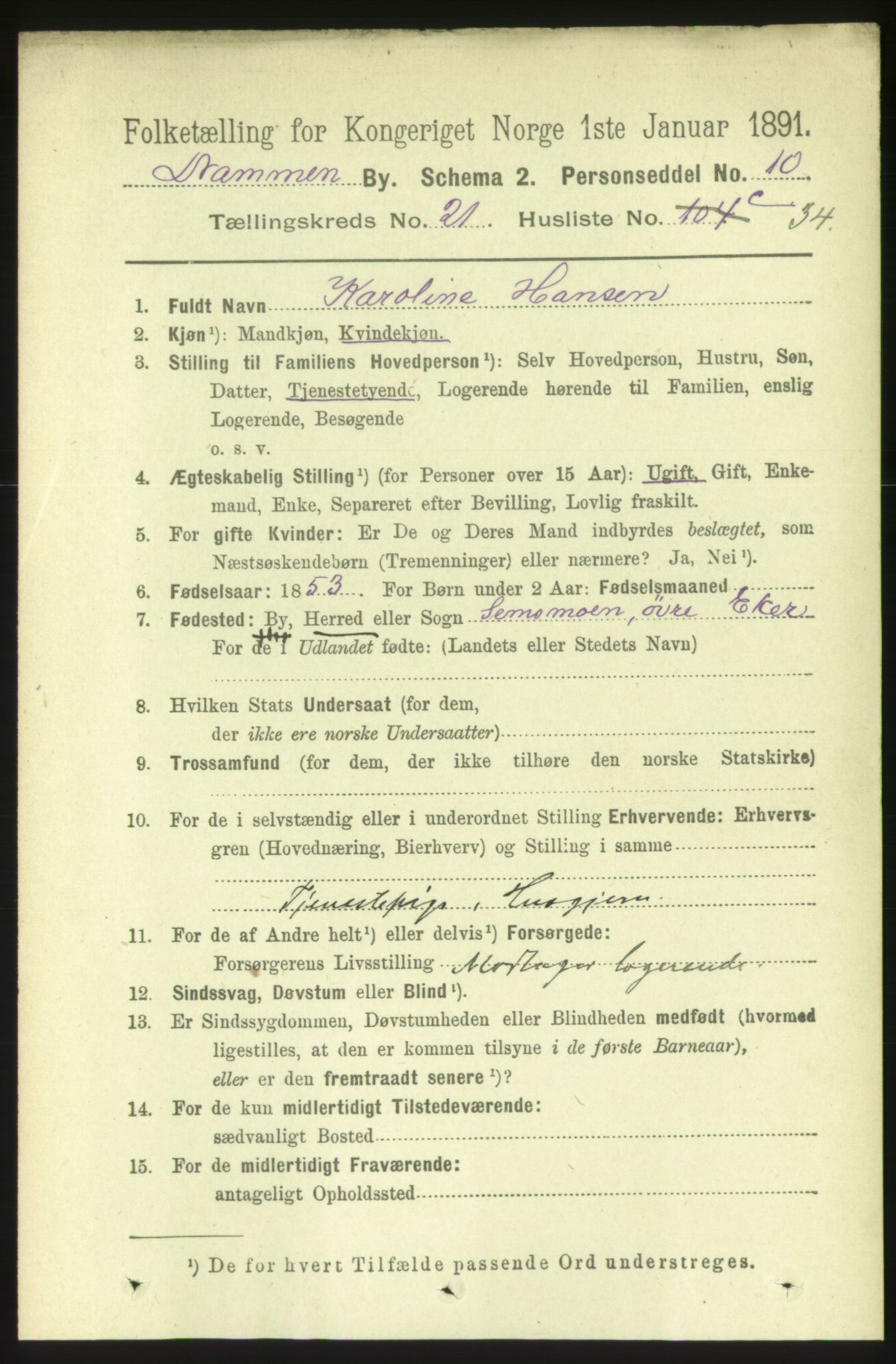 RA, 1891 census for 0602 Drammen, 1891, p. 13460