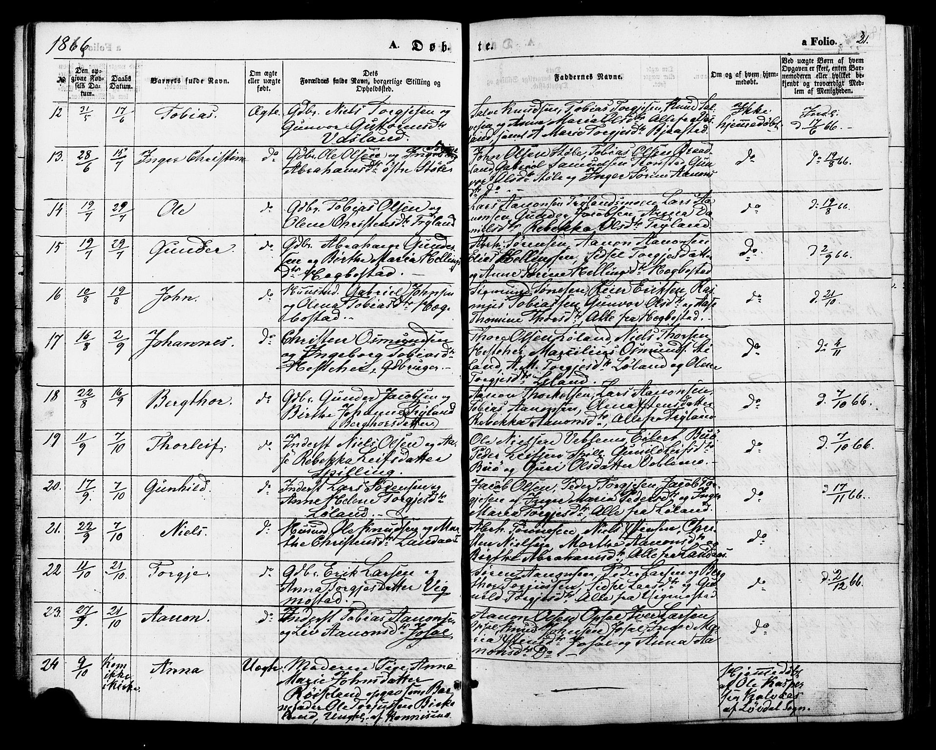 Nord-Audnedal sokneprestkontor, AV/SAK-1111-0032/F/Fa/Fab/L0002: Parish register (official) no. A 2, 1859-1882, p. 21