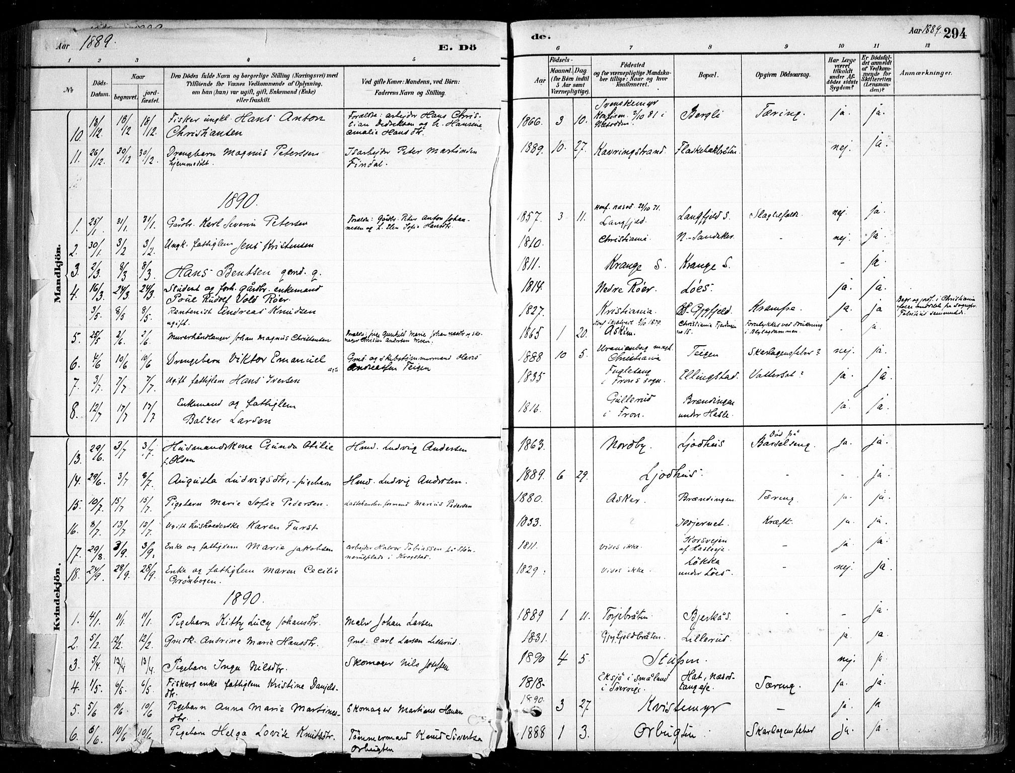 Nesodden prestekontor Kirkebøker, SAO/A-10013/F/Fa/L0009: Parish register (official) no. I 9, 1880-1915, p. 294