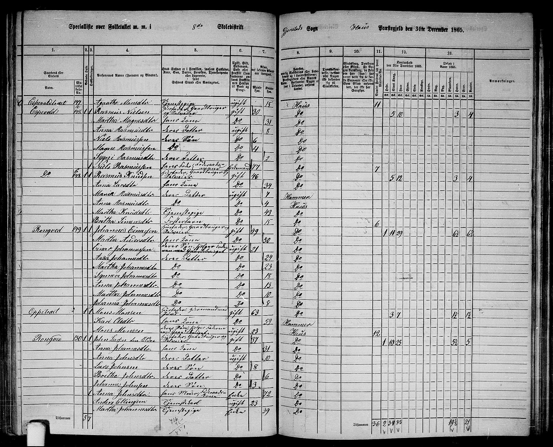 RA, 1865 census for Haus, 1865, p. 164