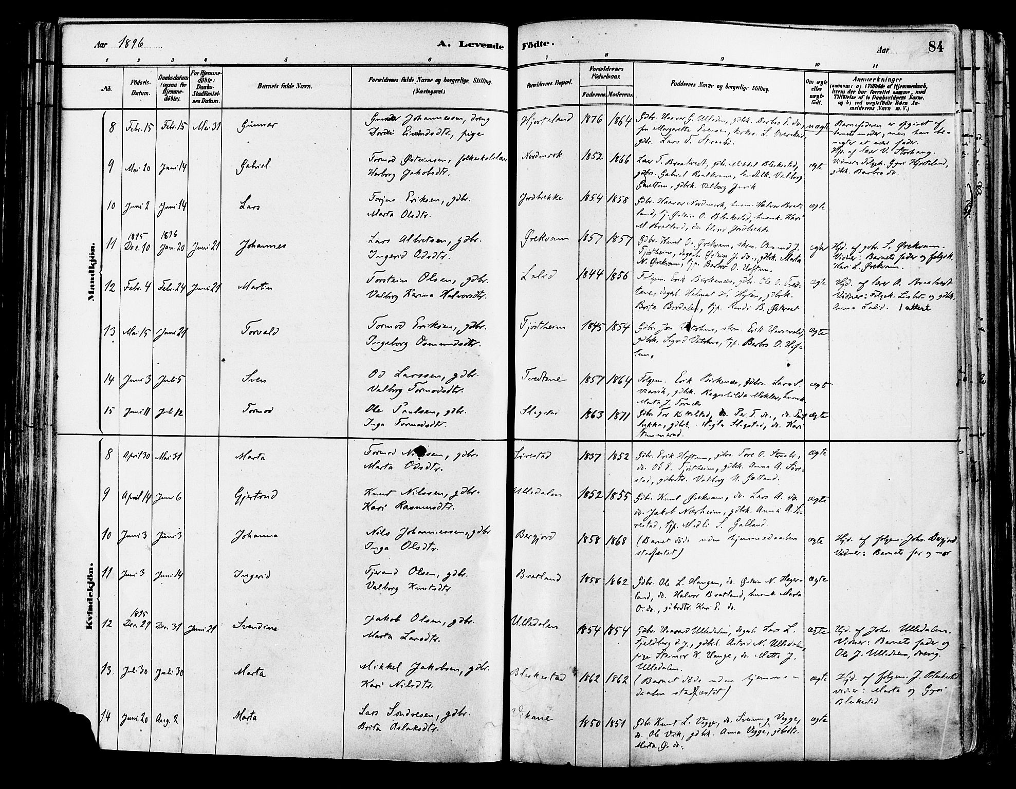 Suldal sokneprestkontor, AV/SAST-A-101845/01/IV/L0011: Parish register (official) no. A 11, 1878-1900, p. 84