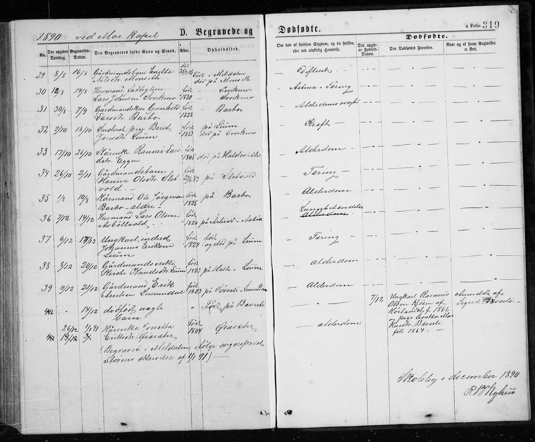 Ministerialprotokoller, klokkerbøker og fødselsregistre - Sør-Trøndelag, SAT/A-1456/671/L0843: Parish register (copy) no. 671C02, 1873-1892, p. 319