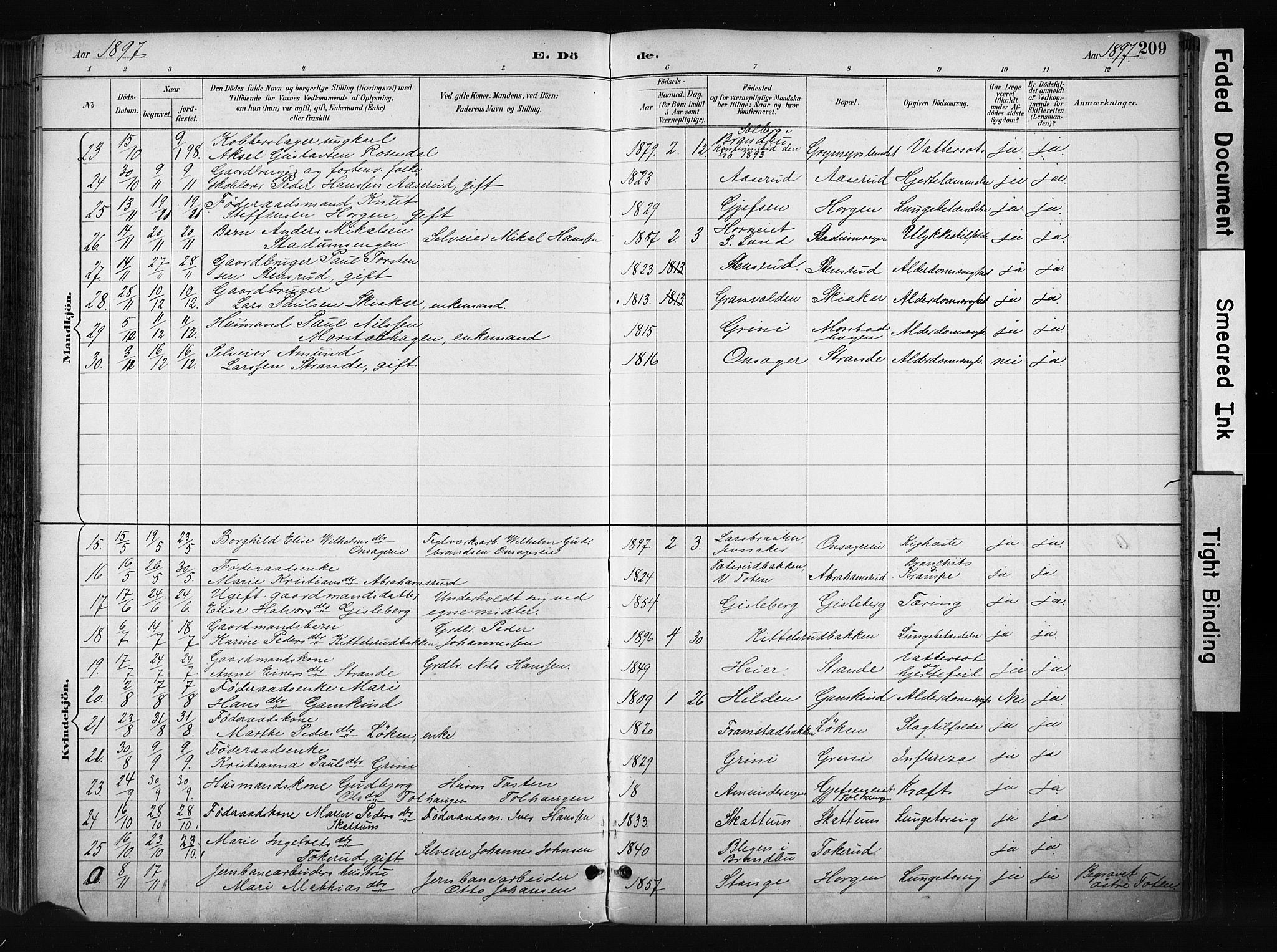 Gran prestekontor, AV/SAH-PREST-112/H/Ha/Haa/L0017: Parish register (official) no. 17, 1889-1897, p. 209