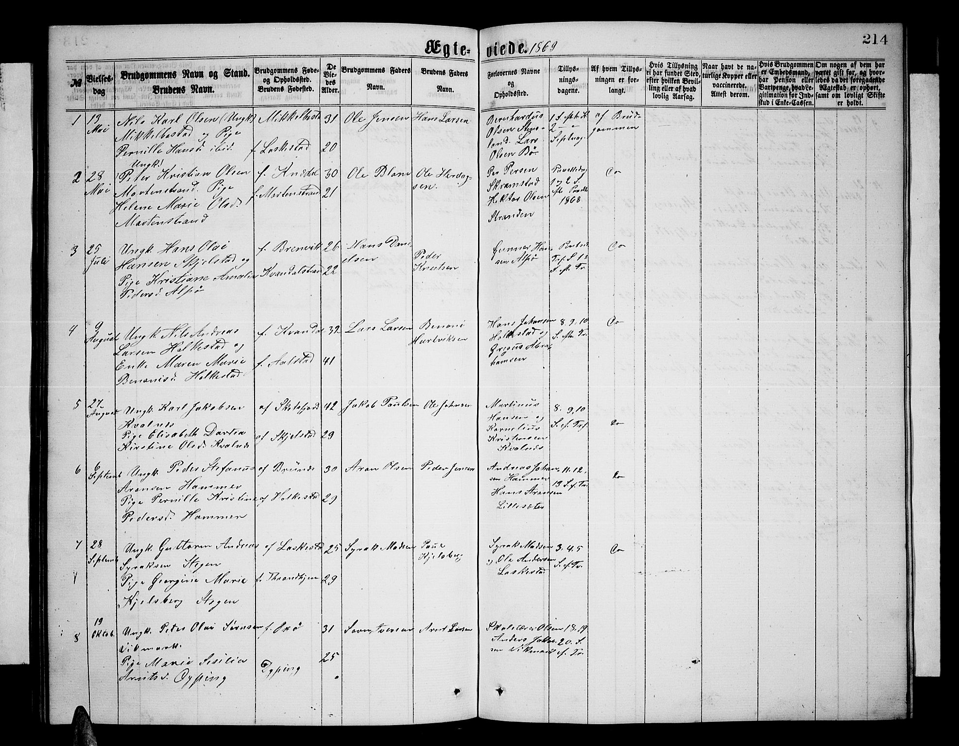 Ministerialprotokoller, klokkerbøker og fødselsregistre - Nordland, AV/SAT-A-1459/855/L0815: Parish register (copy) no. 855C04, 1865-1878, p. 214