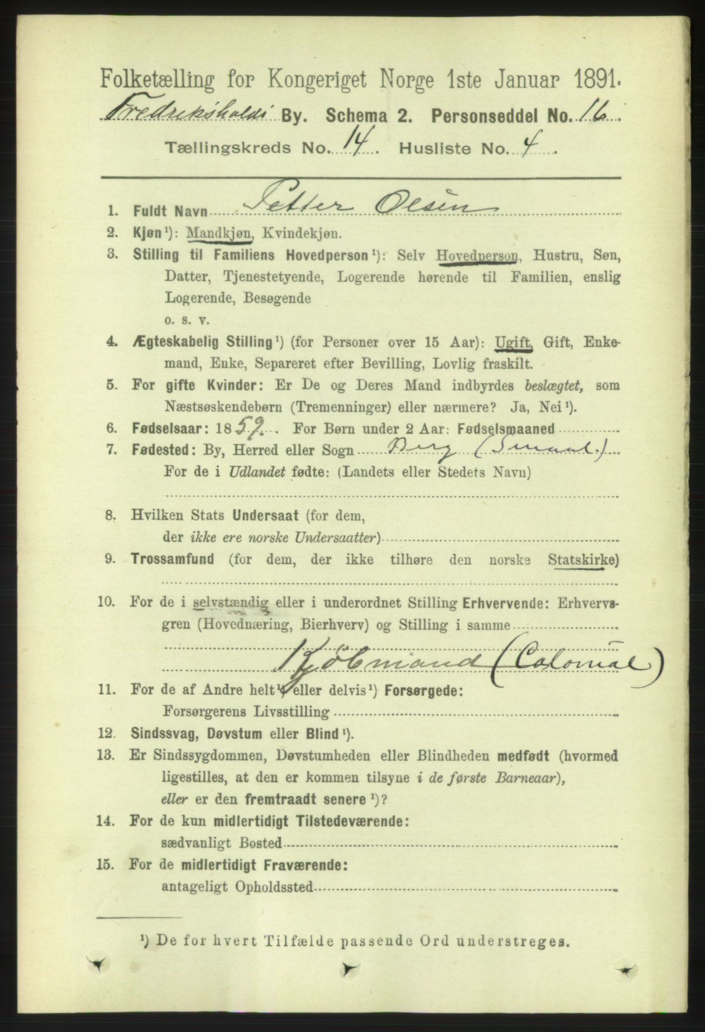 RA, 1891 census for 0101 Fredrikshald, 1891, p. 9058