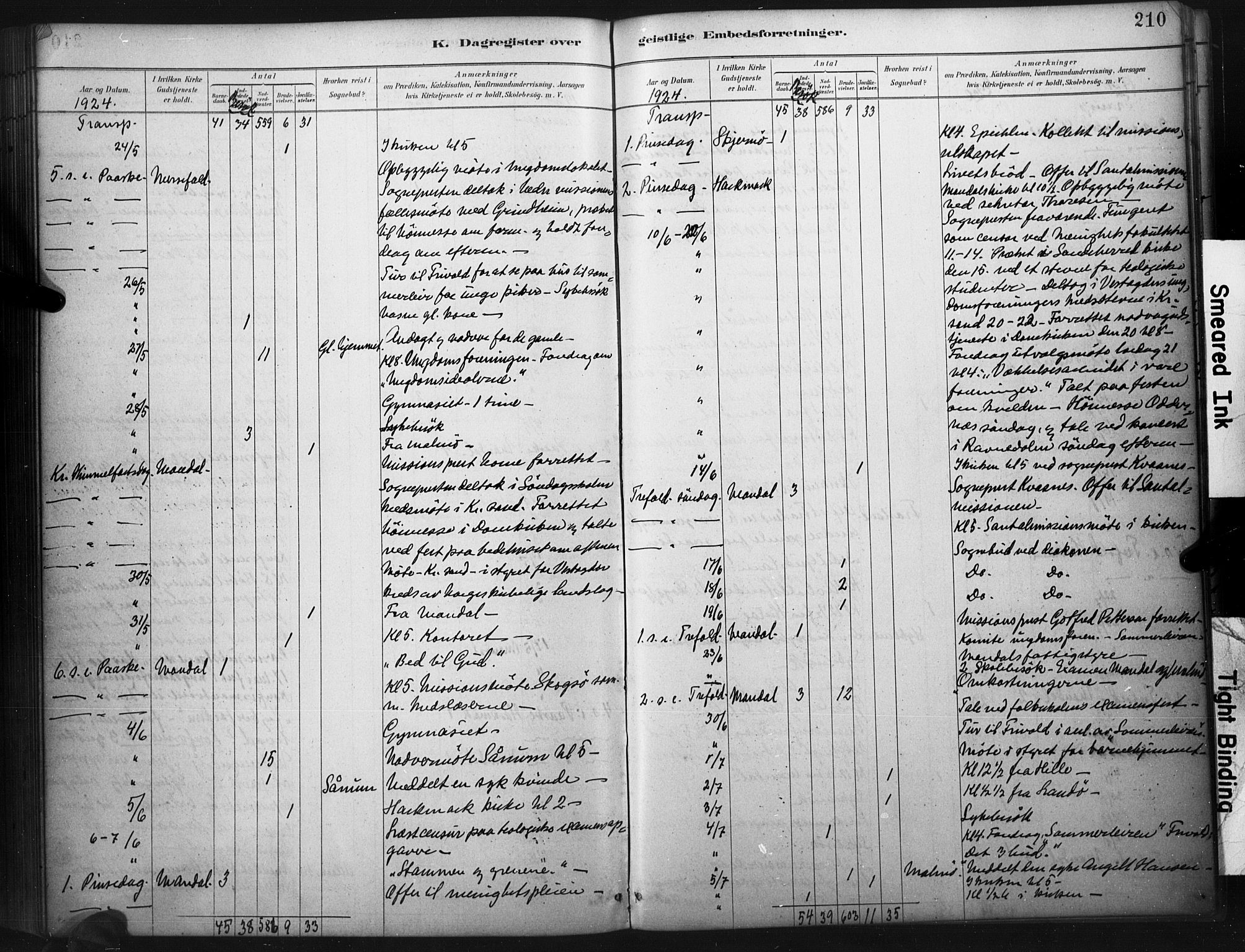 Mandal sokneprestkontor, AV/SAK-1111-0030/F/Fa/Faa/L0017: Parish register (official) no. A 17, 1880-1926, p. 210