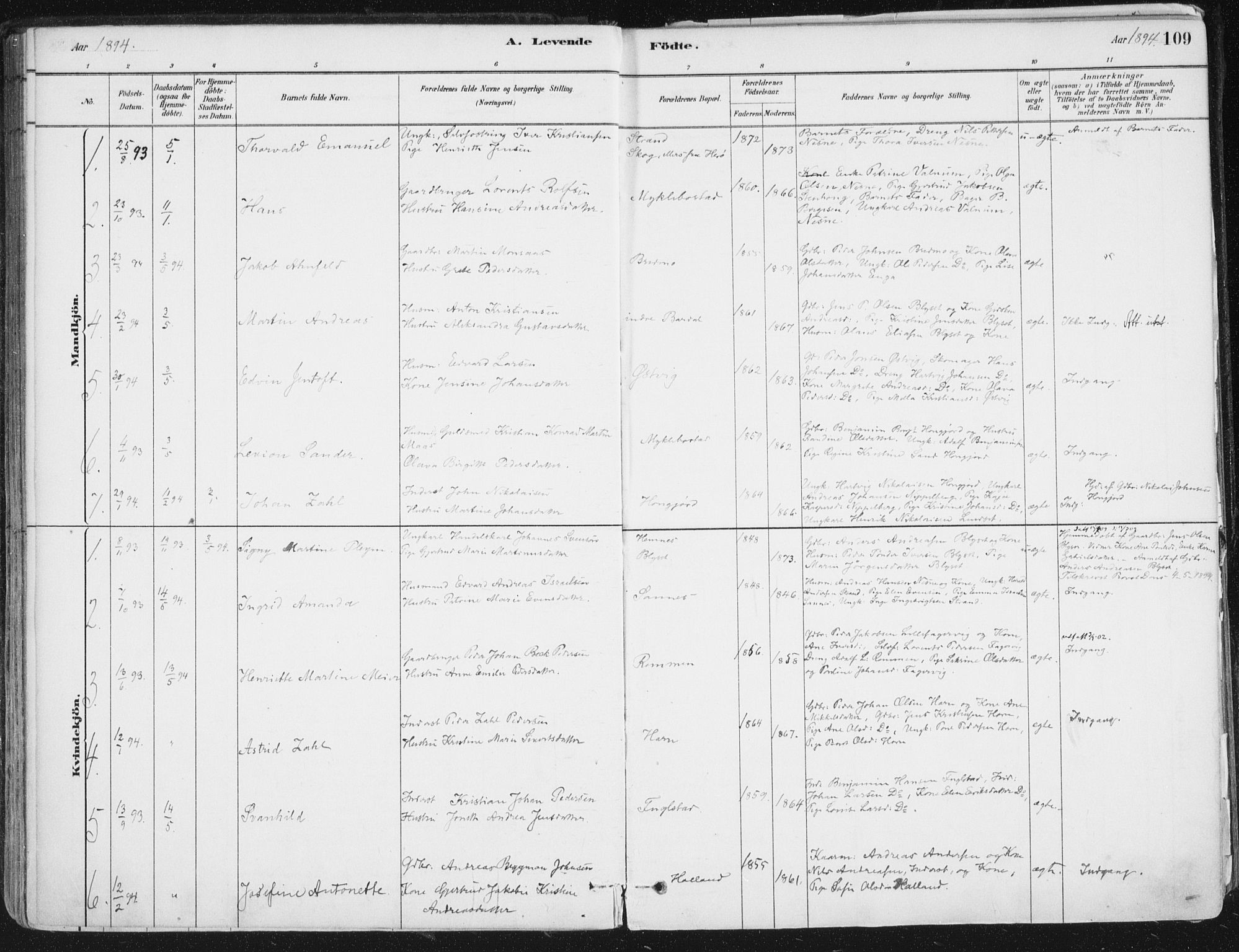 Ministerialprotokoller, klokkerbøker og fødselsregistre - Nordland, AV/SAT-A-1459/838/L0552: Parish register (official) no. 838A10, 1880-1910, p. 109