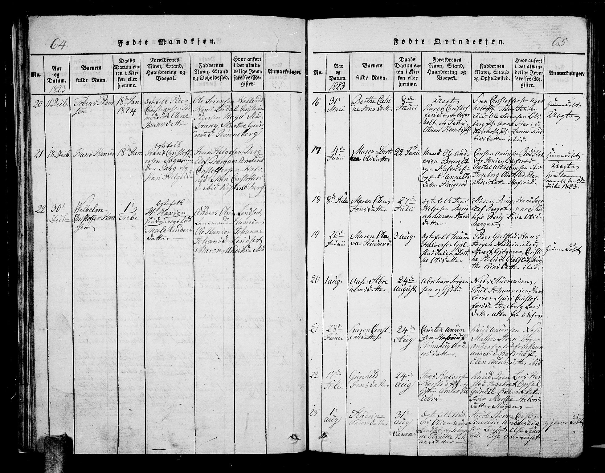 Hof kirkebøker, AV/SAKO-A-64/G/Ga/L0001: Parish register (copy) no. I 1, 1814-1844, p. 64-65