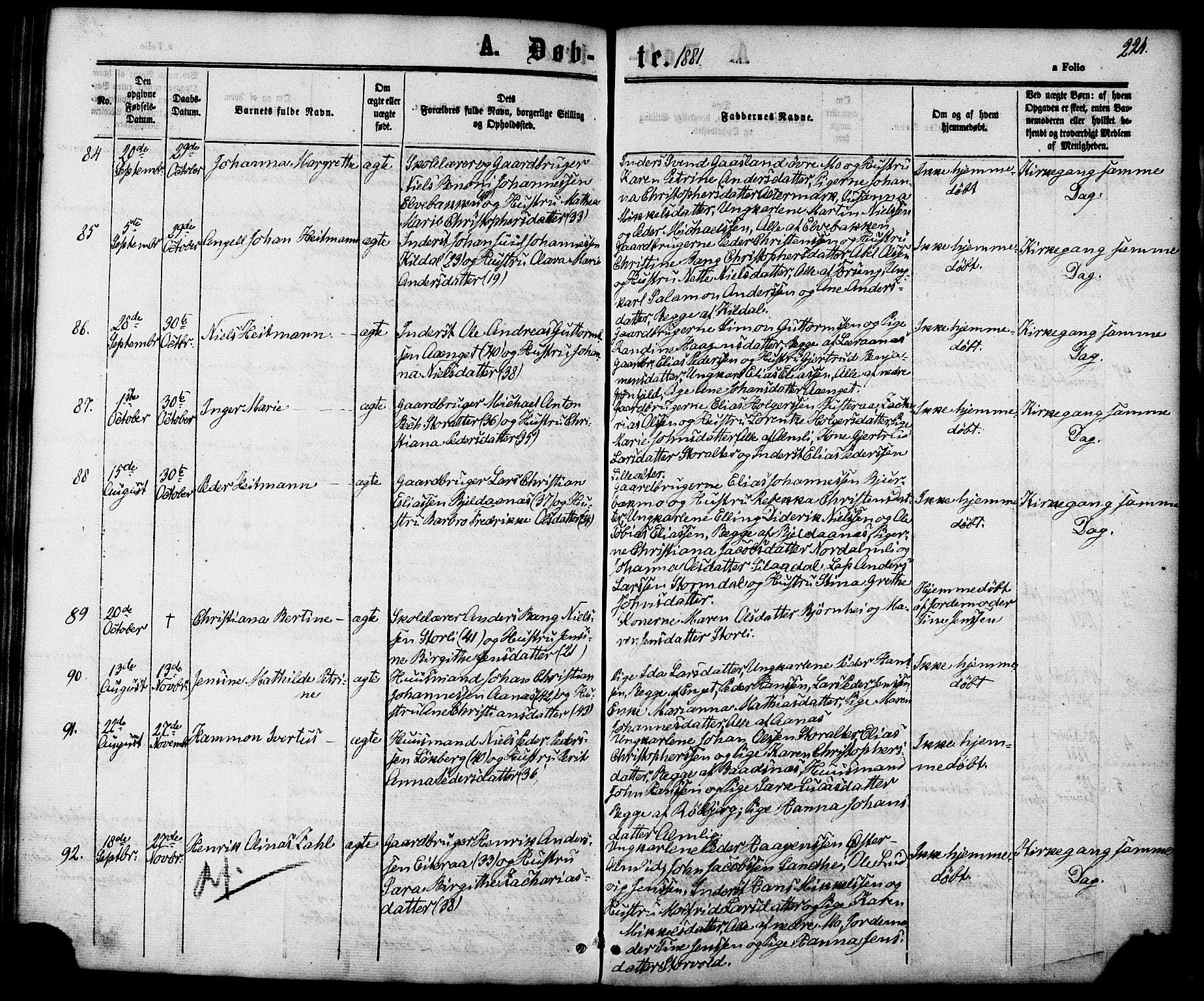 Ministerialprotokoller, klokkerbøker og fødselsregistre - Nordland, AV/SAT-A-1459/827/L0393: Parish register (official) no. 827A05, 1863-1883, p. 224