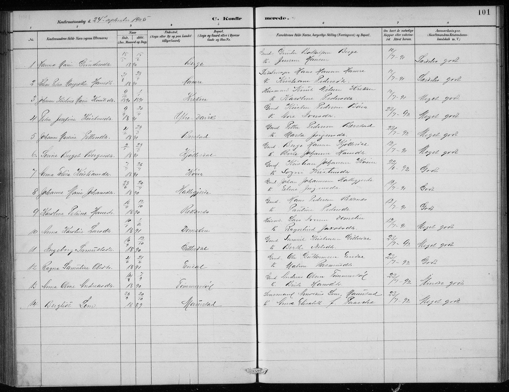 Davik sokneprestembete, AV/SAB-A-79701/H/Hab/Haba/L0002: Parish register (copy) no. A 2, 1890-1911, p. 101