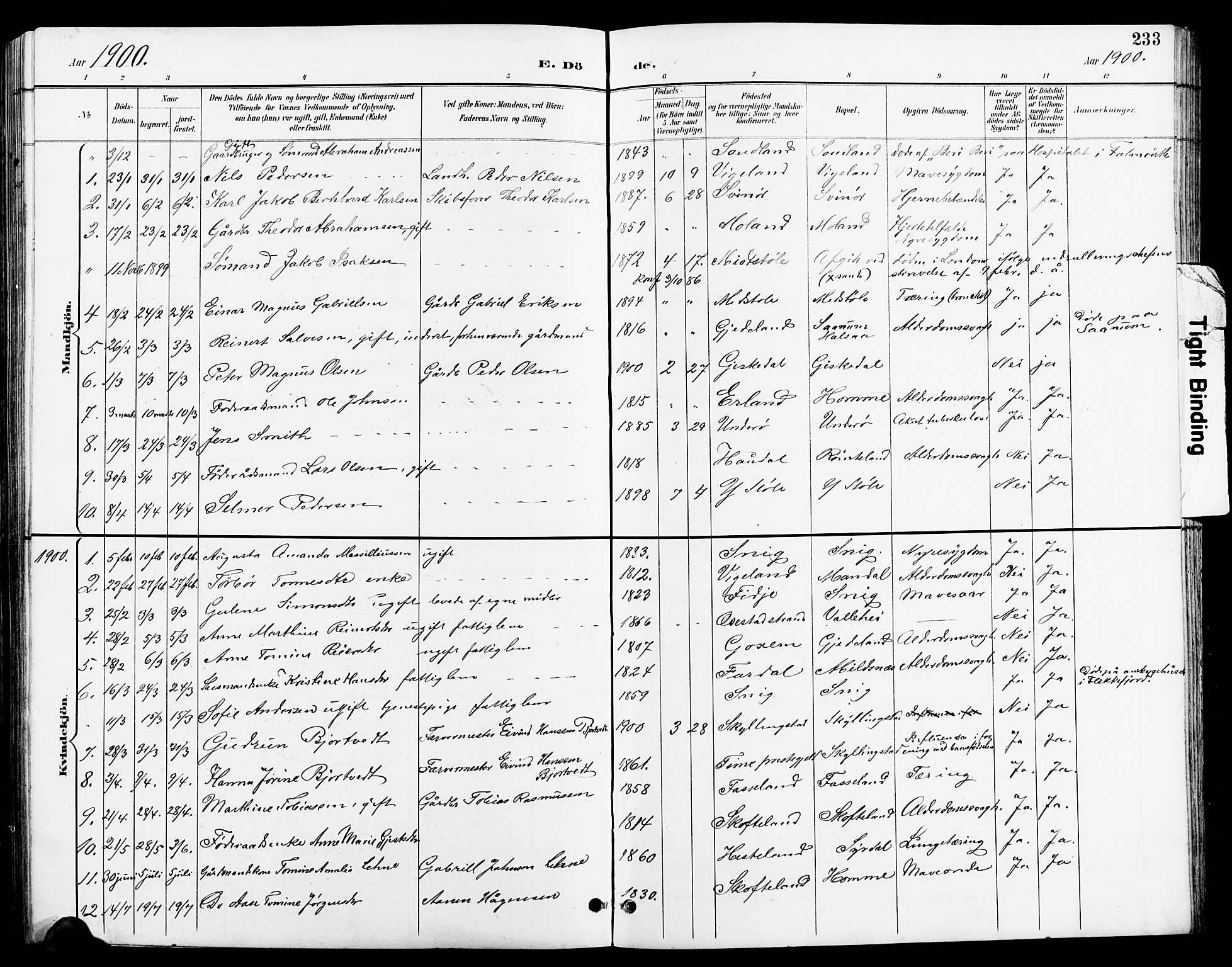 Sør-Audnedal sokneprestkontor, SAK/1111-0039/F/Fb/Fbb/L0006: Parish register (copy) no. B 6, 1893-1915, p. 233