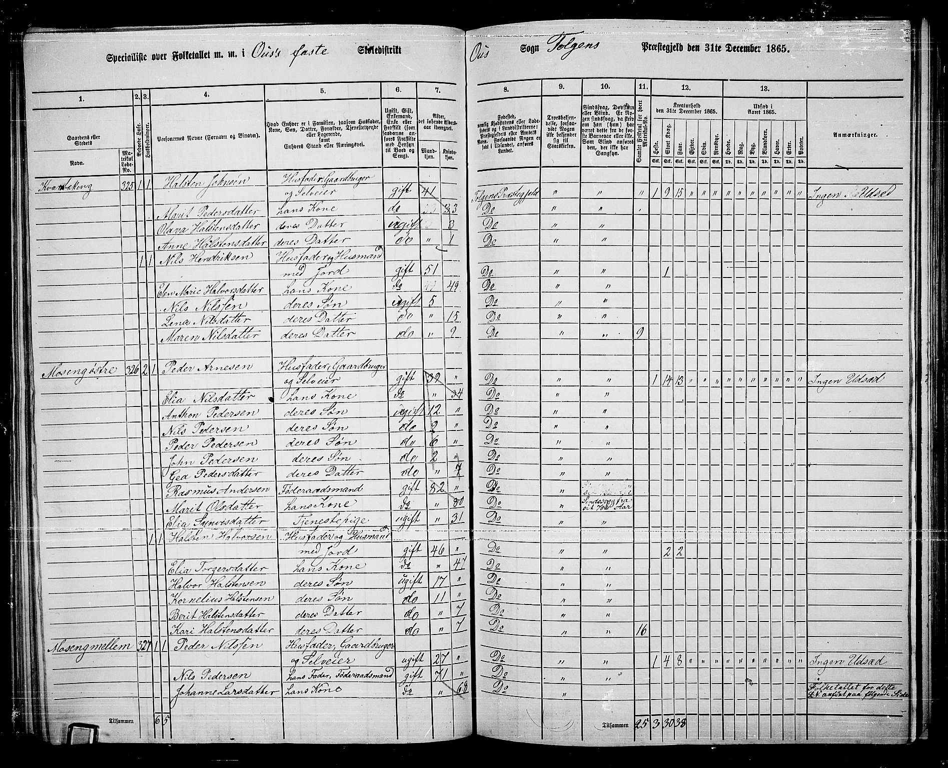 RA, 1865 census for Tolga, 1865, p. 144