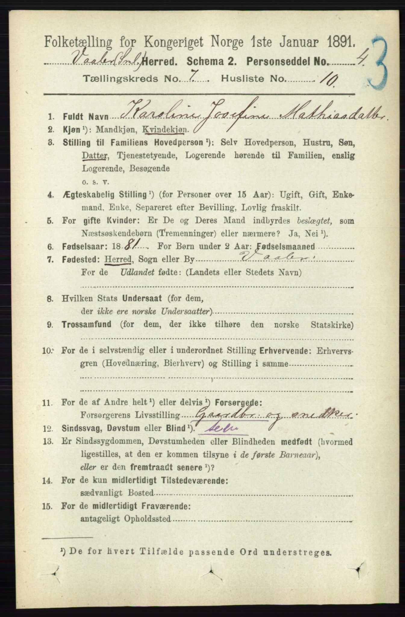 RA, 1891 census for 0137 Våler, 1891, p. 2902