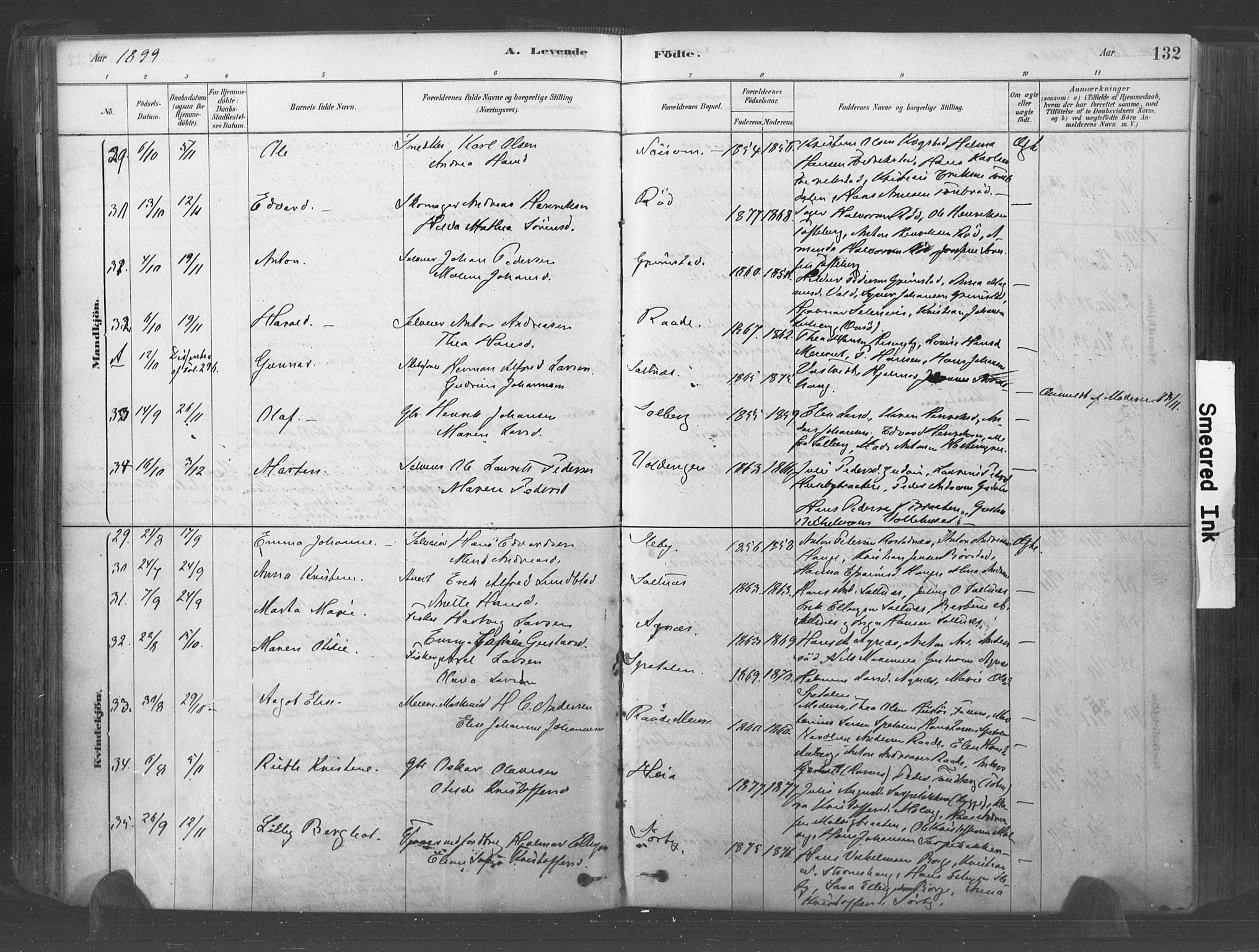 Råde prestekontor kirkebøker, AV/SAO-A-2009/F/Fa/L0007: Parish register (official) no. 7, 1878-1902, p. 132