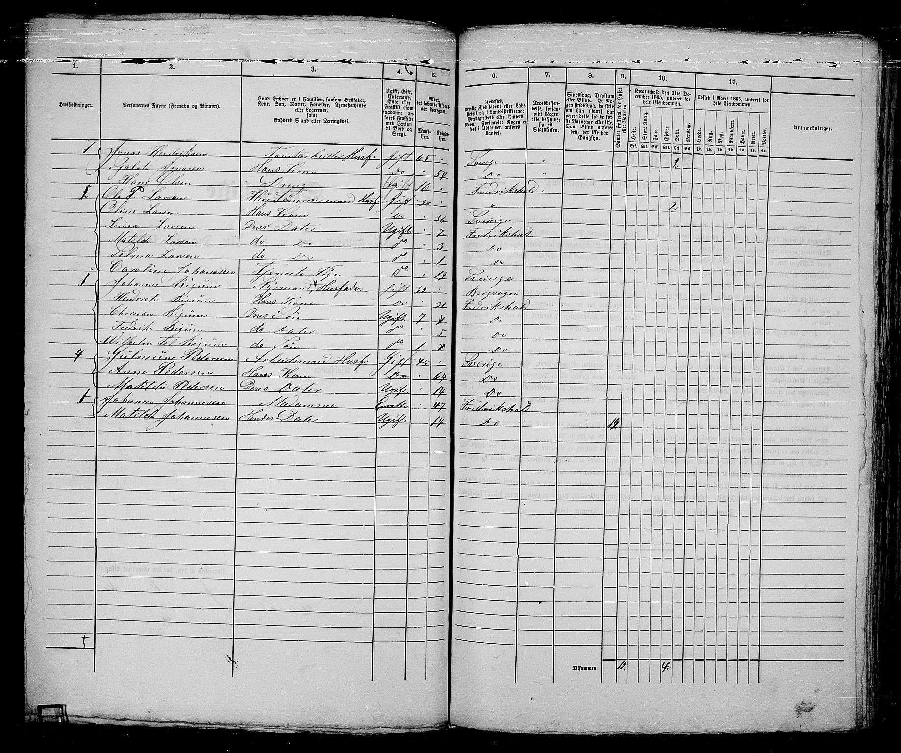 RA, 1865 census for Fredrikshald, 1865, p. 1006