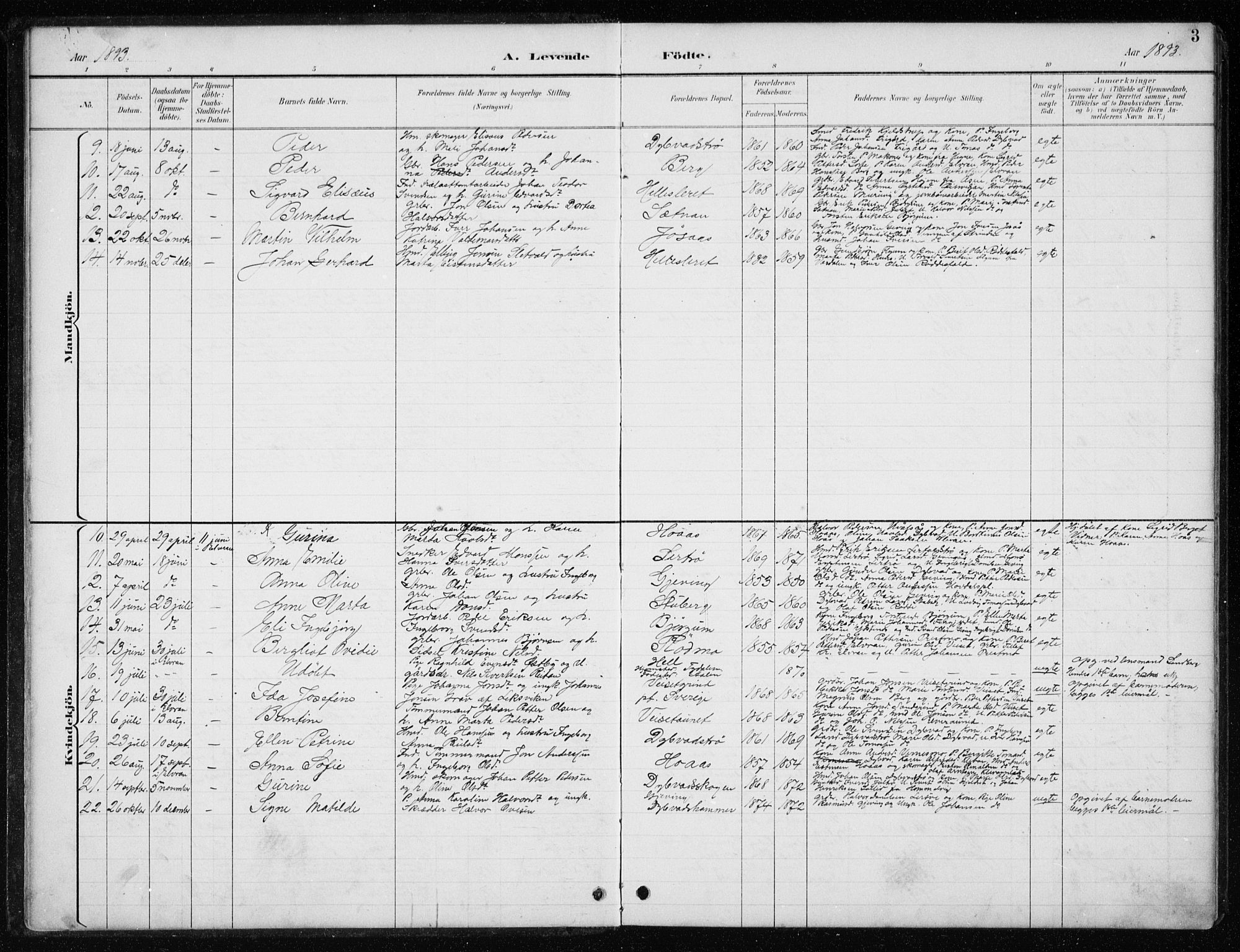 Ministerialprotokoller, klokkerbøker og fødselsregistre - Nord-Trøndelag, AV/SAT-A-1458/710/L0096: Parish register (copy) no. 710C01, 1892-1925, p. 3