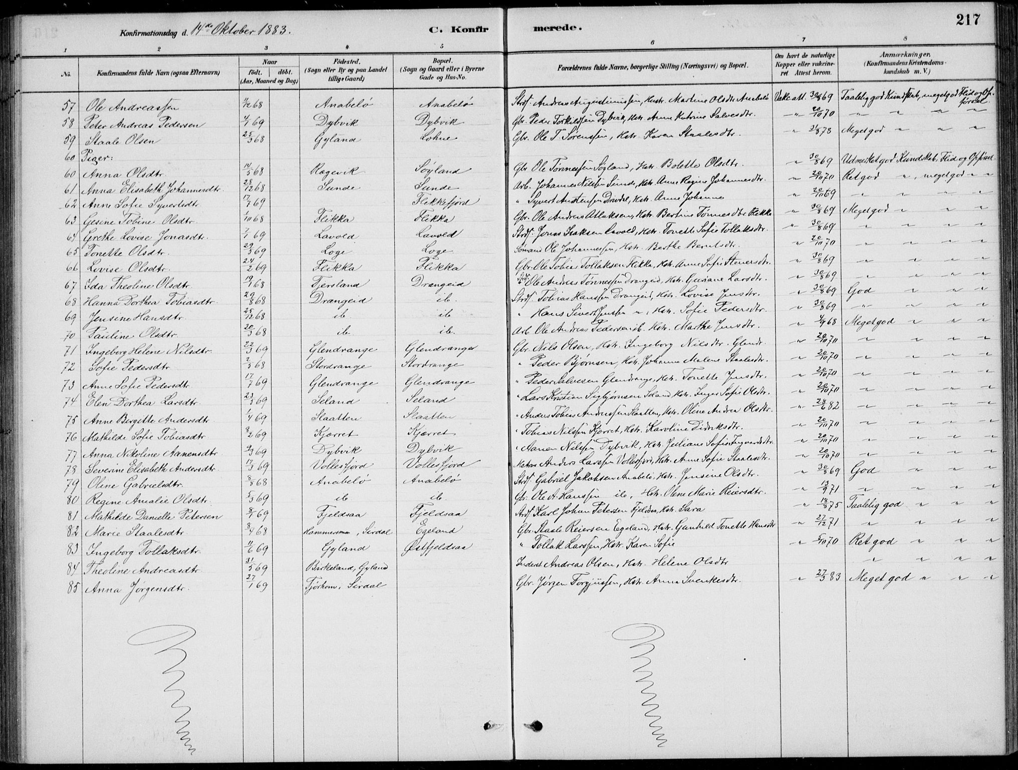 Flekkefjord sokneprestkontor, AV/SAK-1111-0012/F/Fb/Fbc/L0007: Parish register (copy) no. B 7, 1880-1902, p. 217