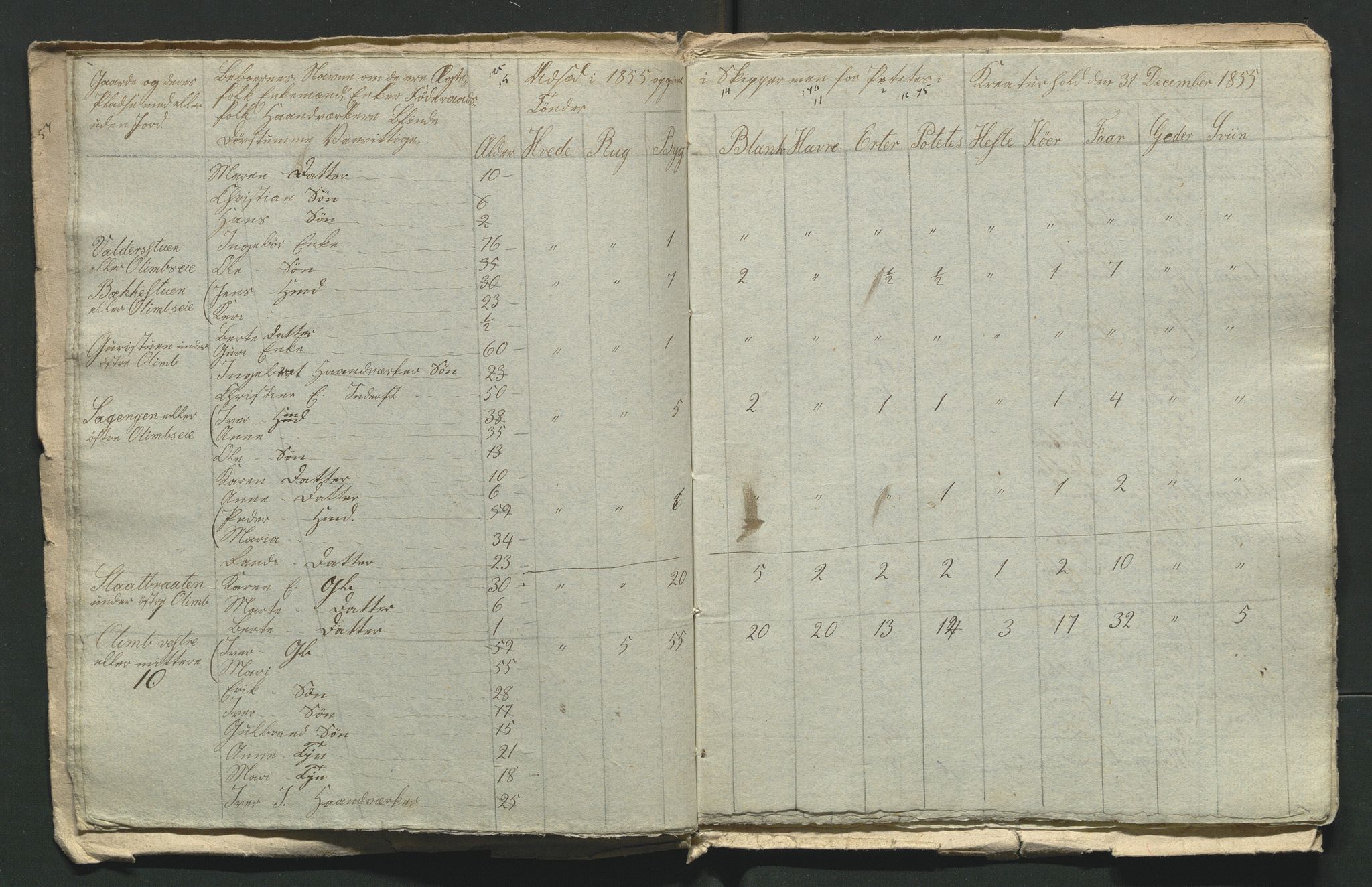 SAH, 1855 Census for Jevnaker parish, 1855, p. 5