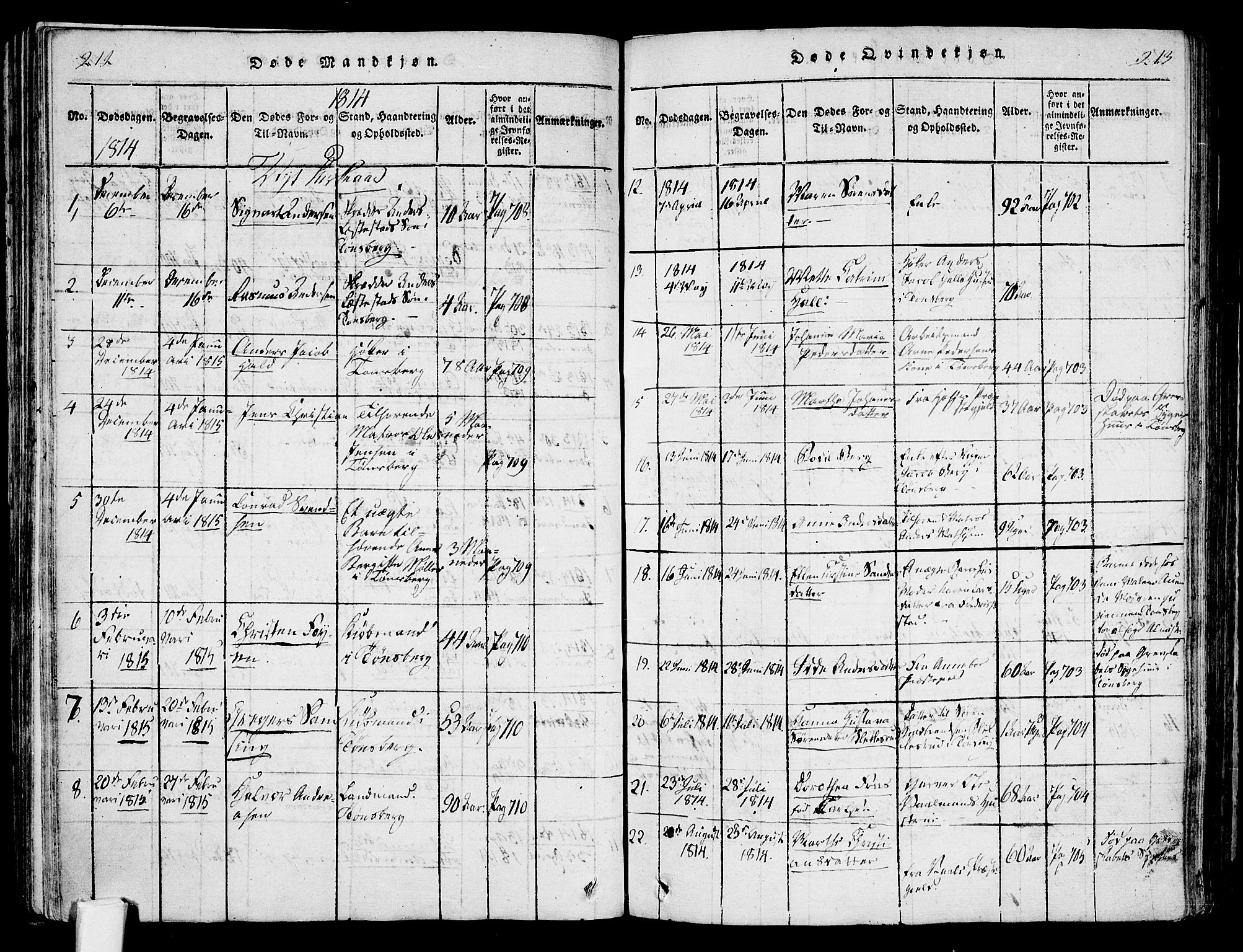 Tønsberg kirkebøker, AV/SAKO-A-330/F/Fa/L0004: Parish register (official) no. I 4, 1813-1826, p. 212-213