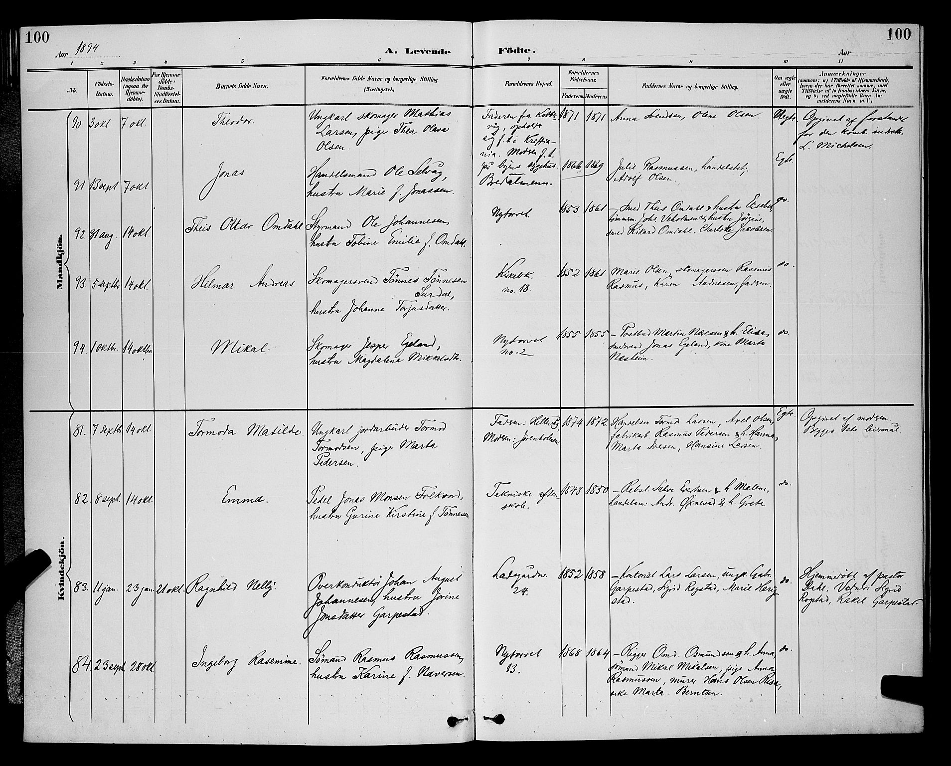 St. Petri sokneprestkontor, SAST/A-101813/001/30/30BB/L0006: Parish register (copy) no. B 6, 1890-1897, p. 100