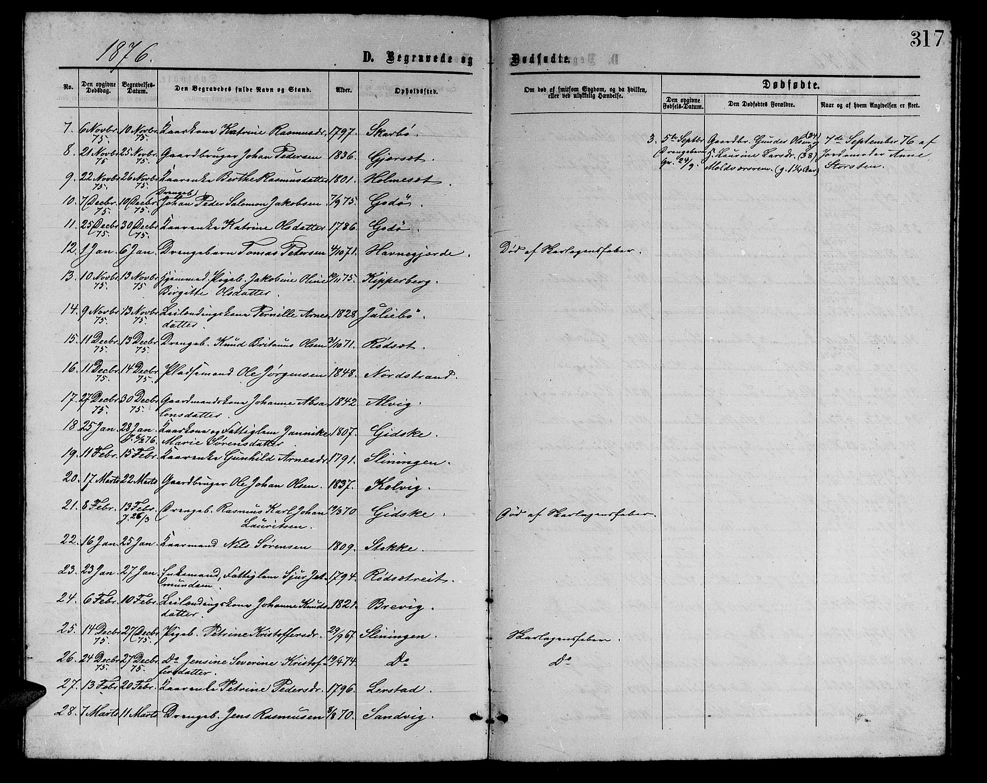 Ministerialprotokoller, klokkerbøker og fødselsregistre - Møre og Romsdal, AV/SAT-A-1454/528/L0428: Parish register (copy) no. 528C09, 1864-1880, p. 317