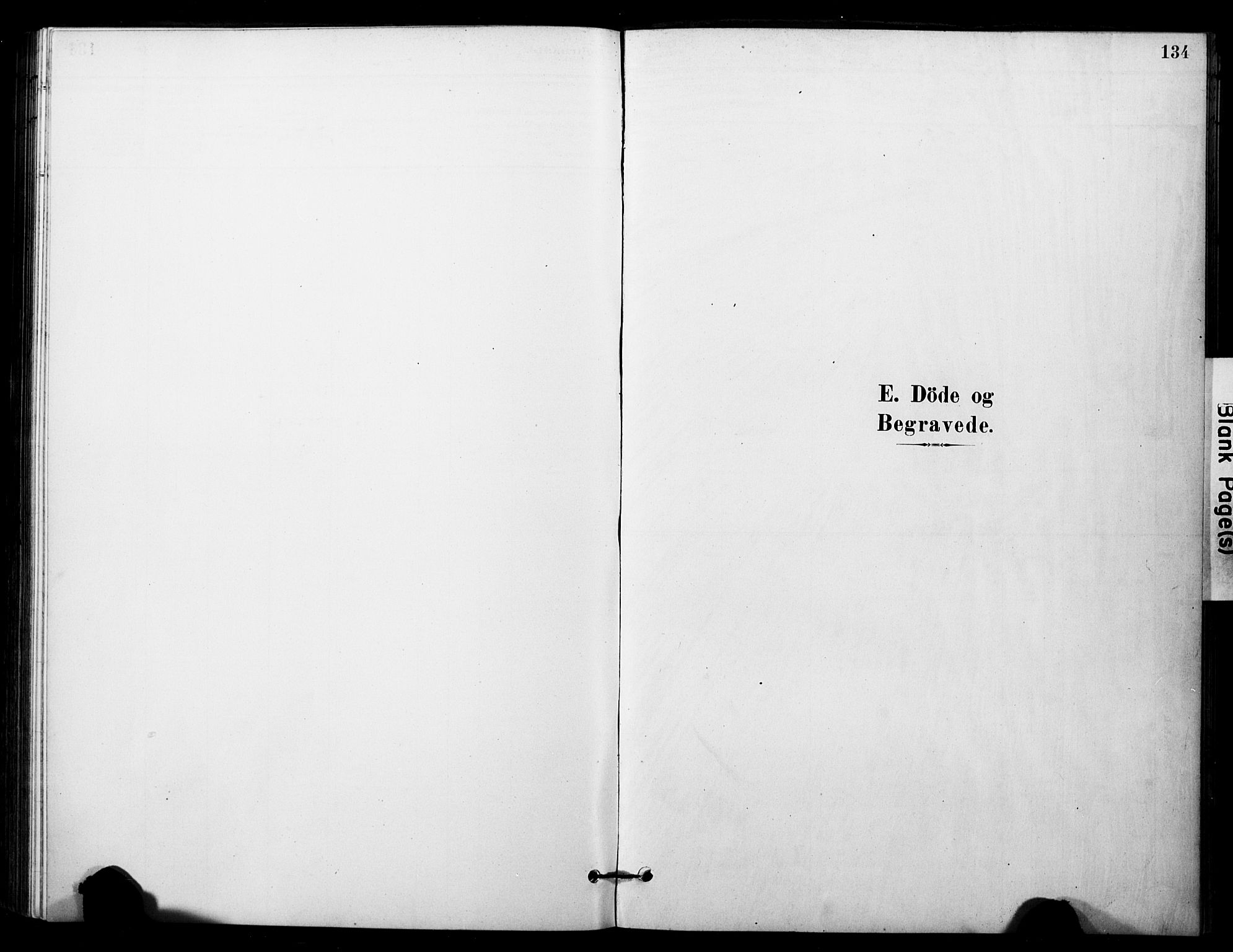Ibestad sokneprestembete, SATØ/S-0077/H/Ha/Haa/L0014kirke: Parish register (official) no. 14, 1880-1887, p. 134