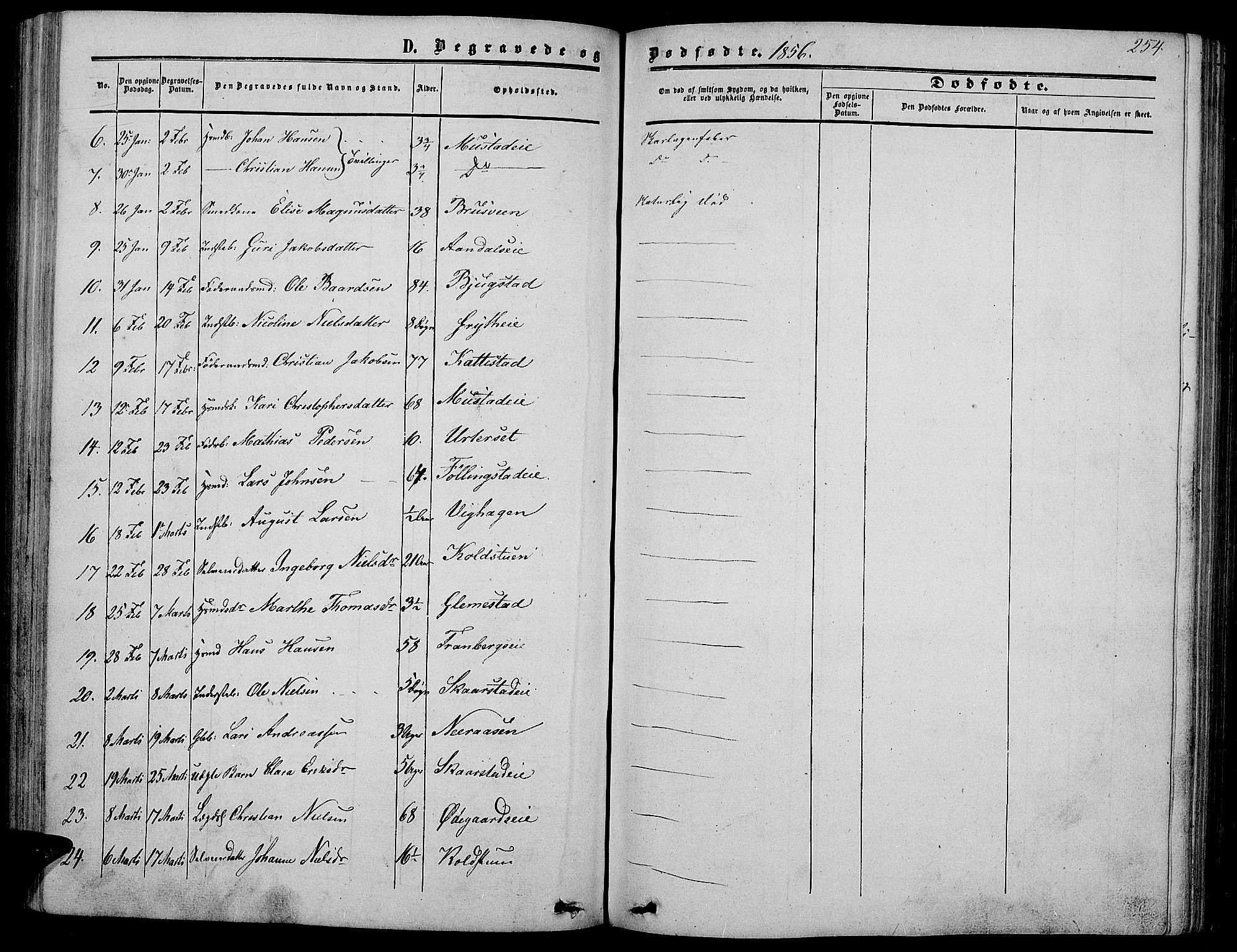 Vardal prestekontor, SAH/PREST-100/H/Ha/Hab/L0005: Parish register (copy) no. 5, 1854-1868, p. 254