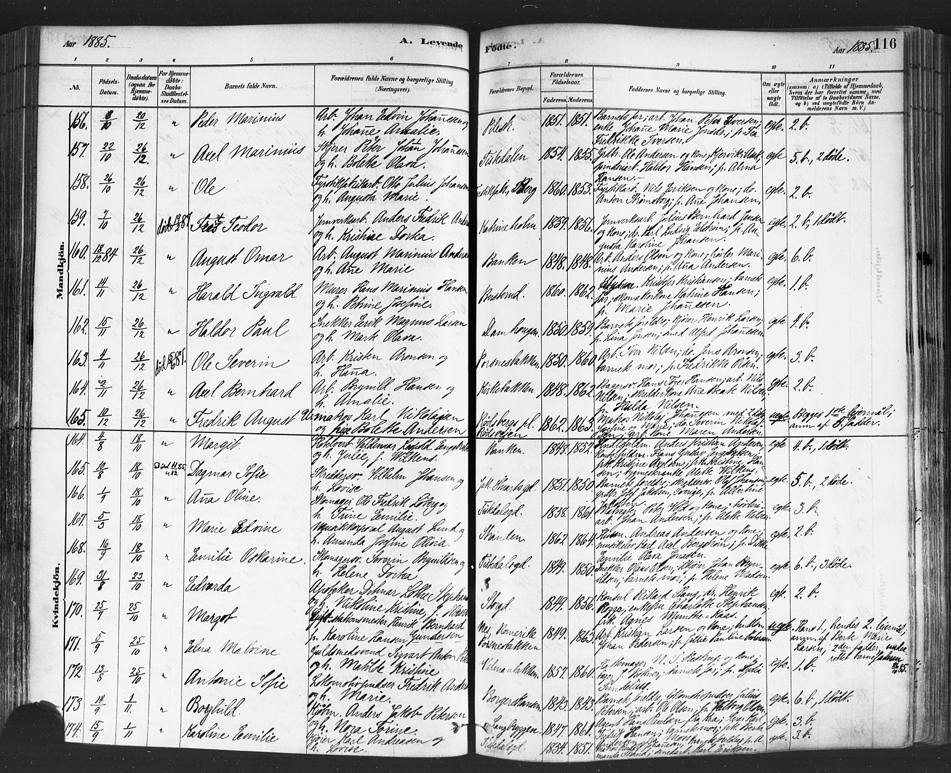 Halden prestekontor Kirkebøker, SAO/A-10909/F/Fa/L0011: Parish register (official) no. I 11, 1878-1889, p. 116