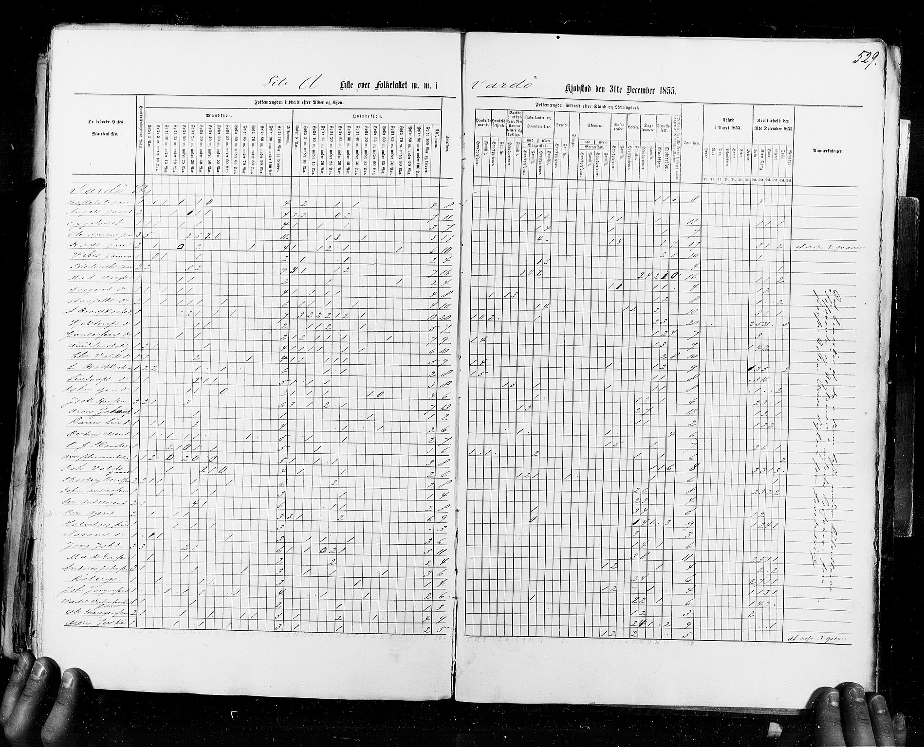 RA, Census 1855, vol. 8: Risør-Vadsø, 1855, p. 529