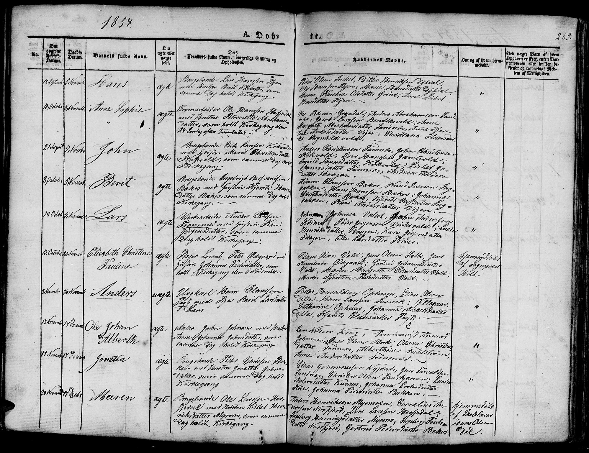Ministerialprotokoller, klokkerbøker og fødselsregistre - Sør-Trøndelag, SAT/A-1456/681/L0938: Parish register (copy) no. 681C02, 1829-1879, p. 265