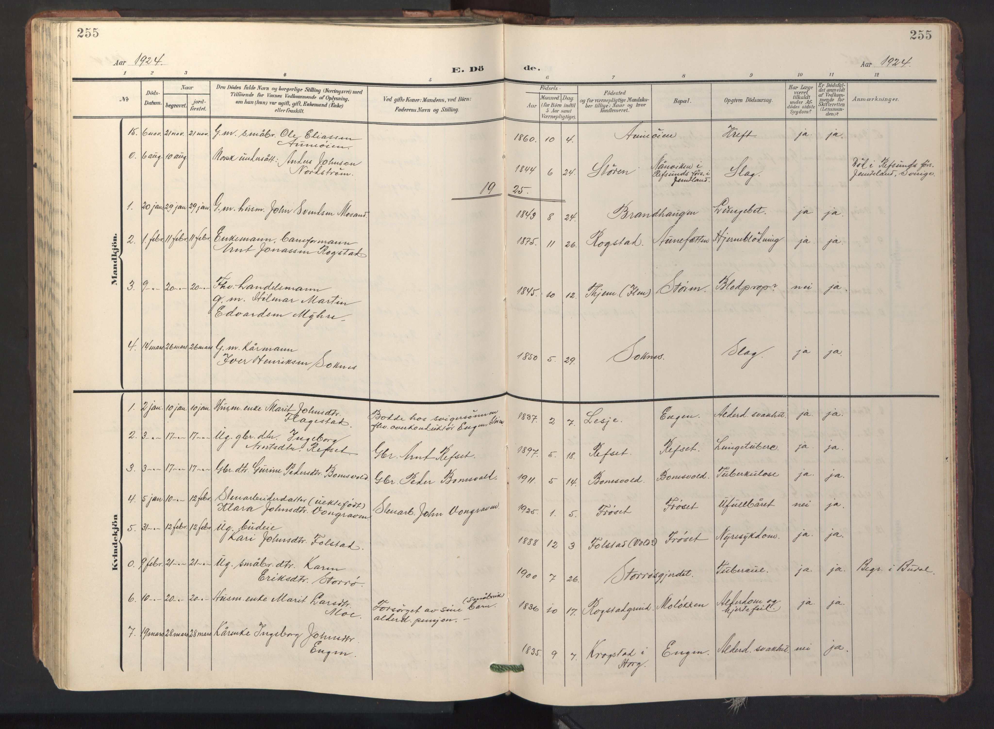 Ministerialprotokoller, klokkerbøker og fødselsregistre - Sør-Trøndelag, SAT/A-1456/687/L1019: Parish register (copy) no. 687C03, 1904-1931, p. 255