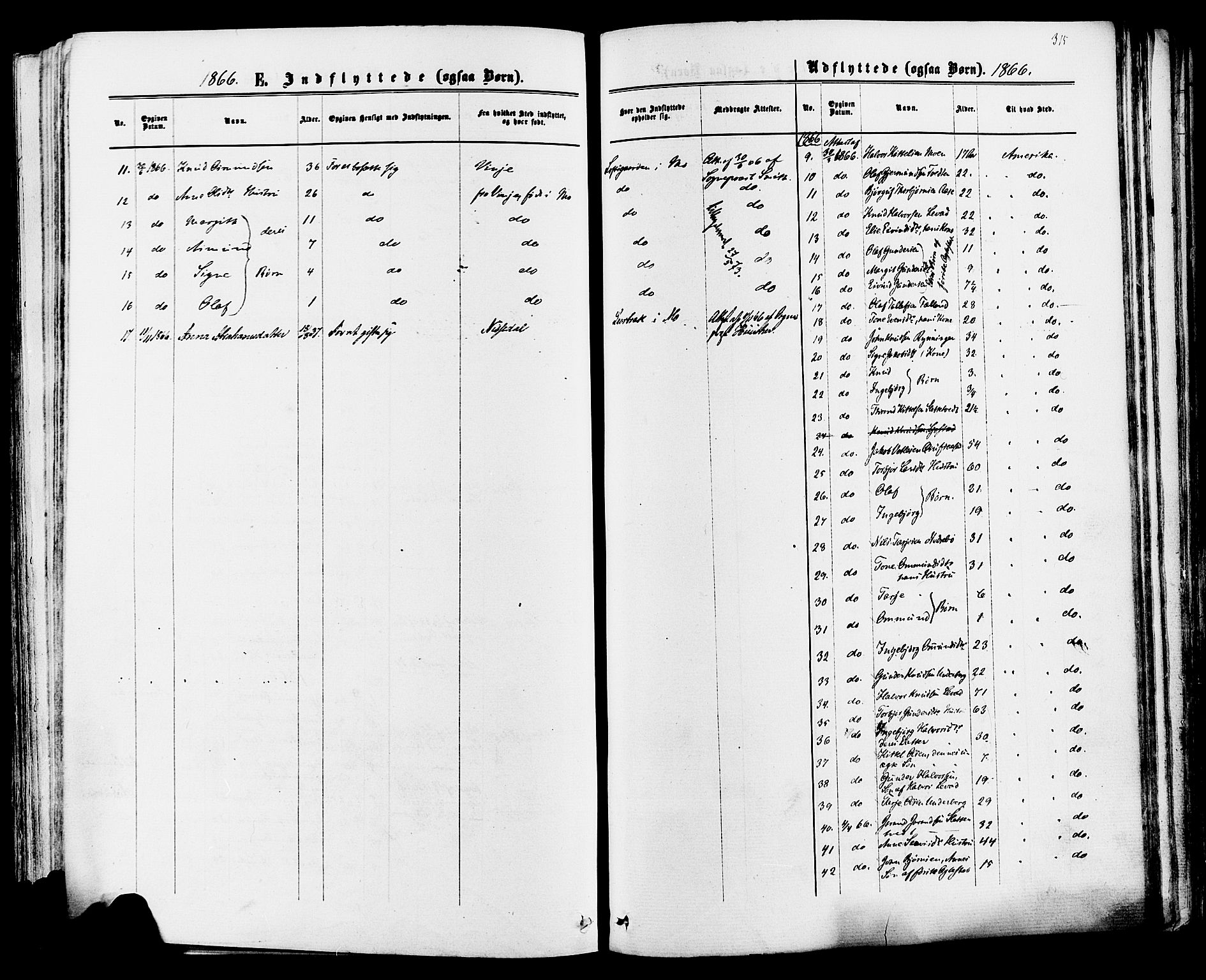 Mo kirkebøker, AV/SAKO-A-286/F/Fa/L0006: Parish register (official) no. I 6, 1865-1885, p. 315