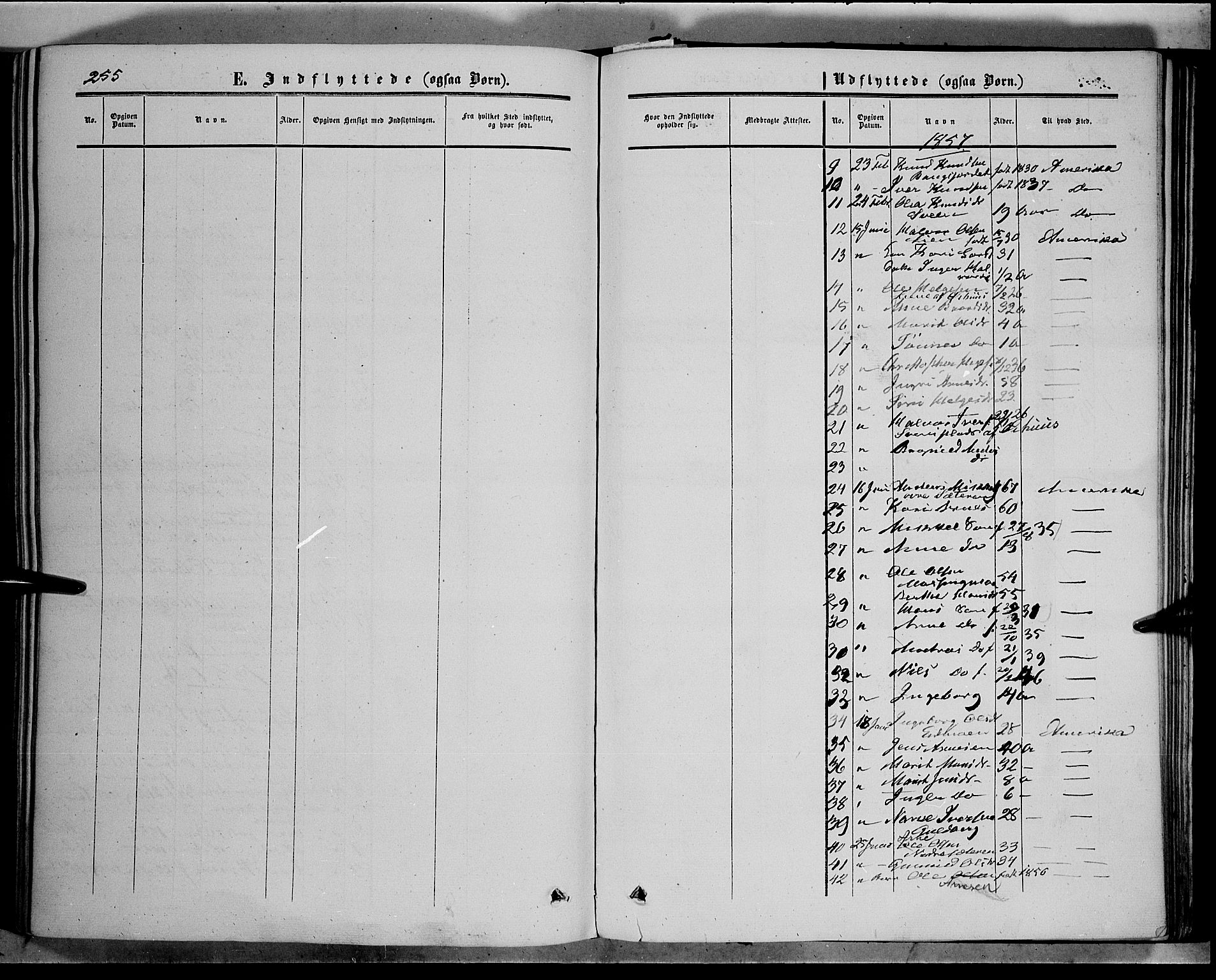 Sør-Aurdal prestekontor, SAH/PREST-128/H/Ha/Haa/L0005: Parish register (official) no. 5, 1849-1876, p. 255