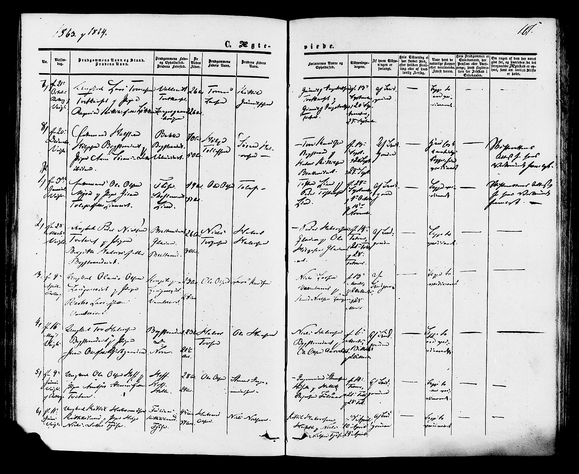 Rollag kirkebøker, AV/SAKO-A-240/F/Fa/L0009: Parish register (official) no. I 9, 1860-1874, p. 117