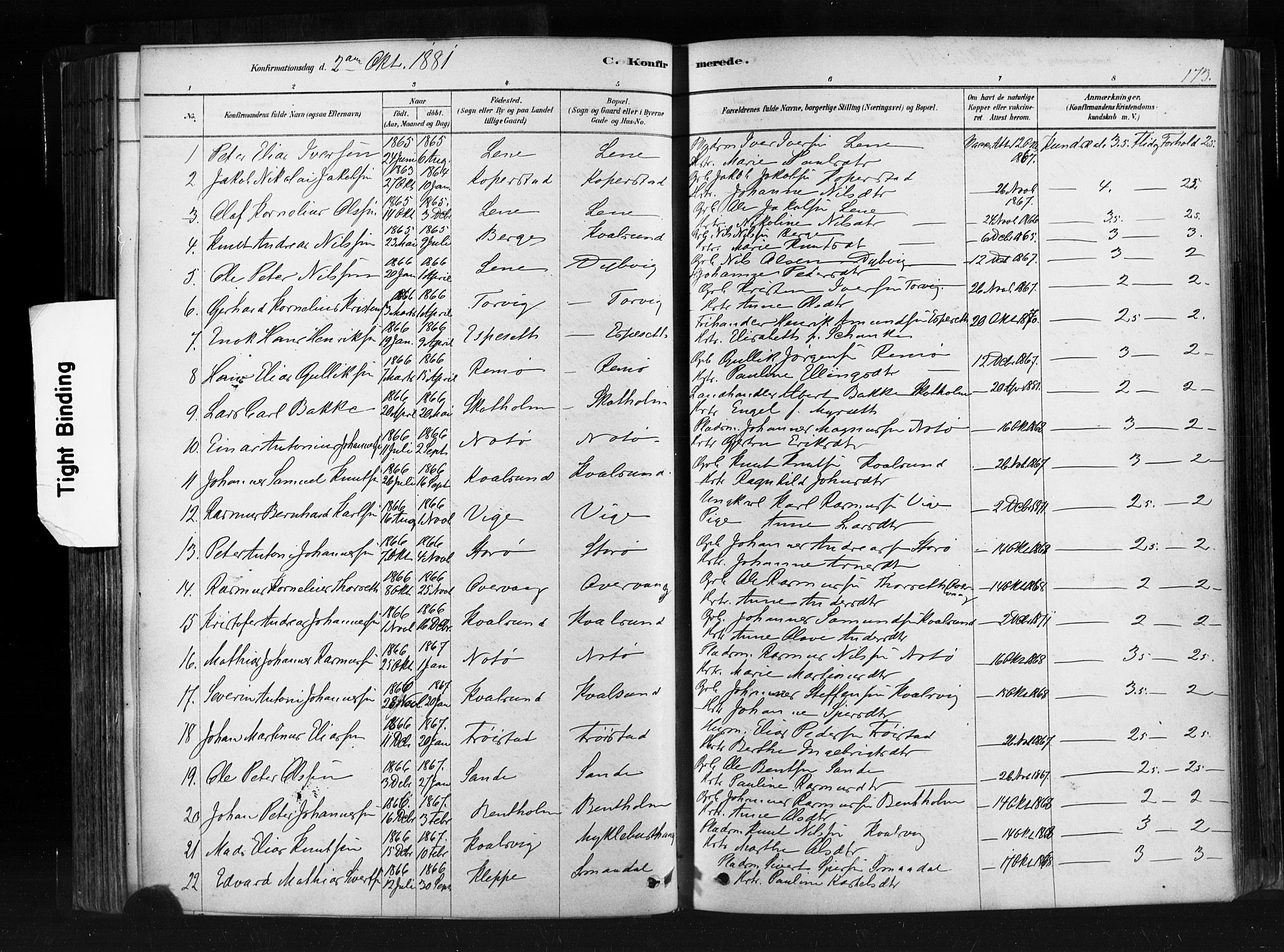 Ministerialprotokoller, klokkerbøker og fødselsregistre - Møre og Romsdal, AV/SAT-A-1454/507/L0073: Parish register (official) no. 507A08, 1878-1904, p. 173