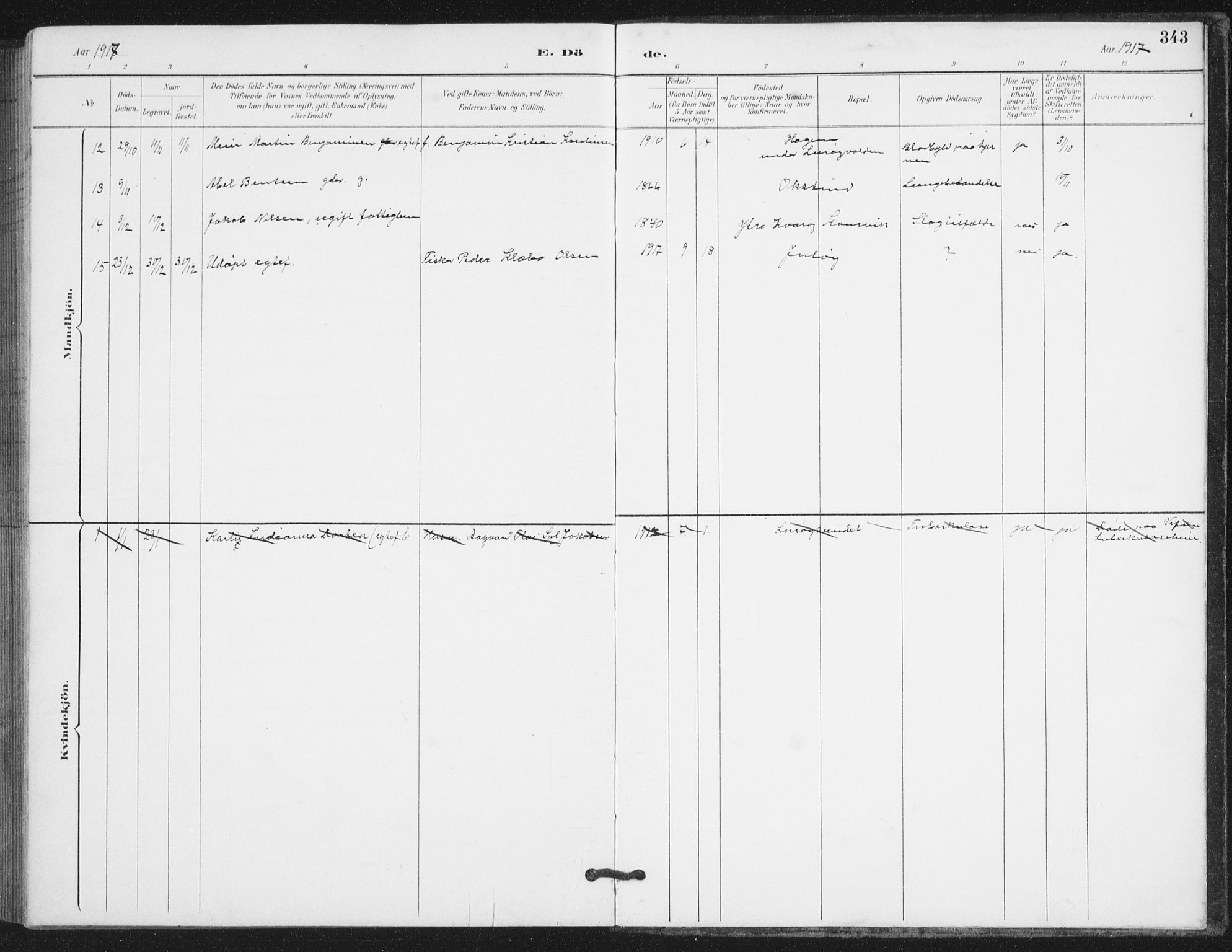 Ministerialprotokoller, klokkerbøker og fødselsregistre - Nordland, AV/SAT-A-1459/839/L0573: Parish register (copy) no. 839C03, 1892-1917, p. 343