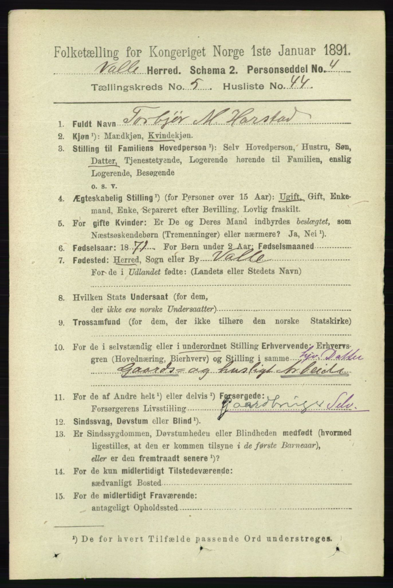 RA, 1891 census for 0940 Valle, 1891, p. 1630