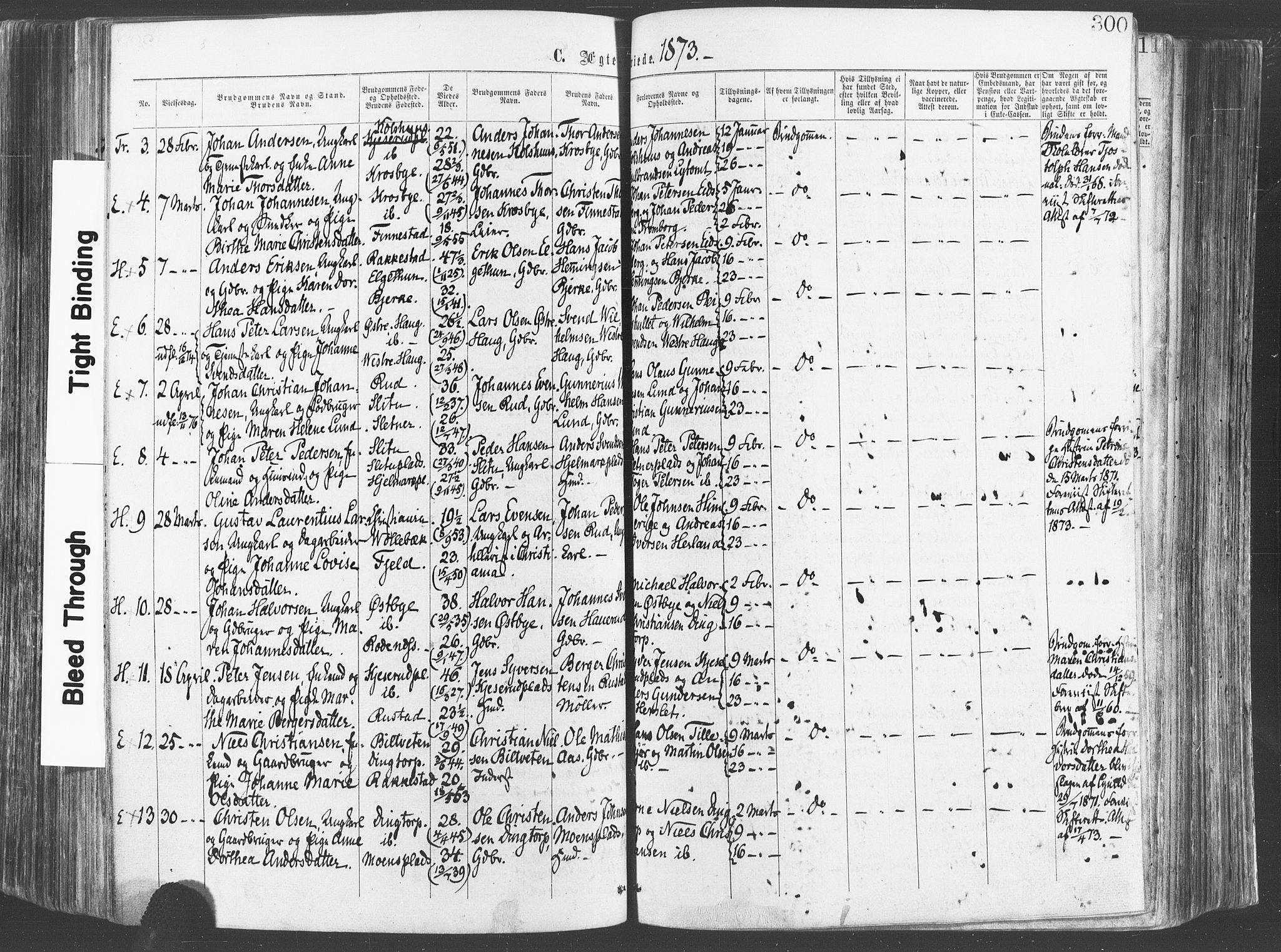 Eidsberg prestekontor Kirkebøker, AV/SAO-A-10905/F/Fa/L0011: Parish register (official) no. I 11, 1867-1878, p. 300