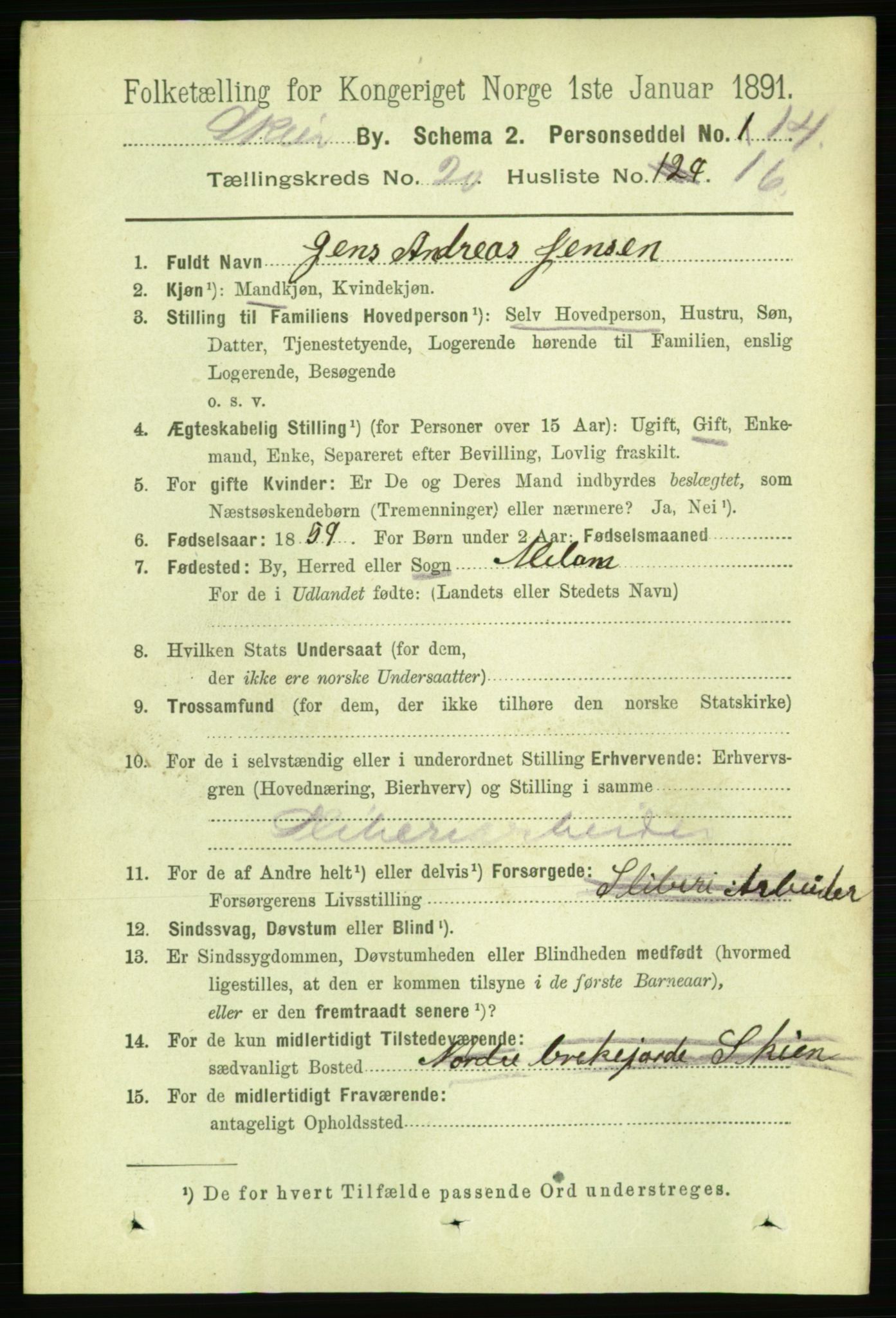 RA, 1891 census for 0806 Skien, 1891, p. 5299